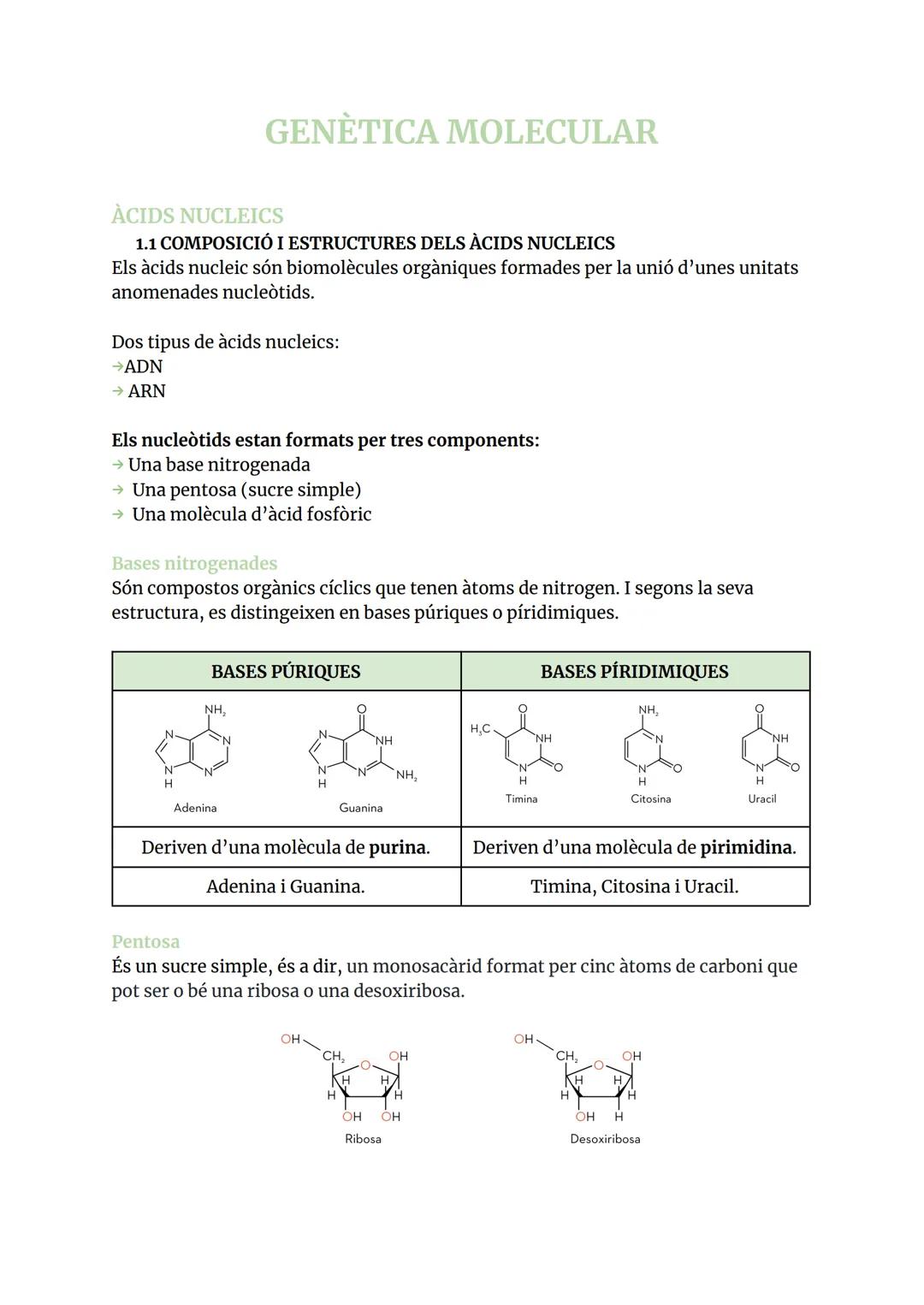 GENÈTICA MOLECULAR
ÀCIDS NUCLEICS
1.1 COMPOSICIÓ I ESTRUCTURES DELS ÀCIDS NUCLEICS
Els àcids nucleic són biomolècules orgàniques formades pe