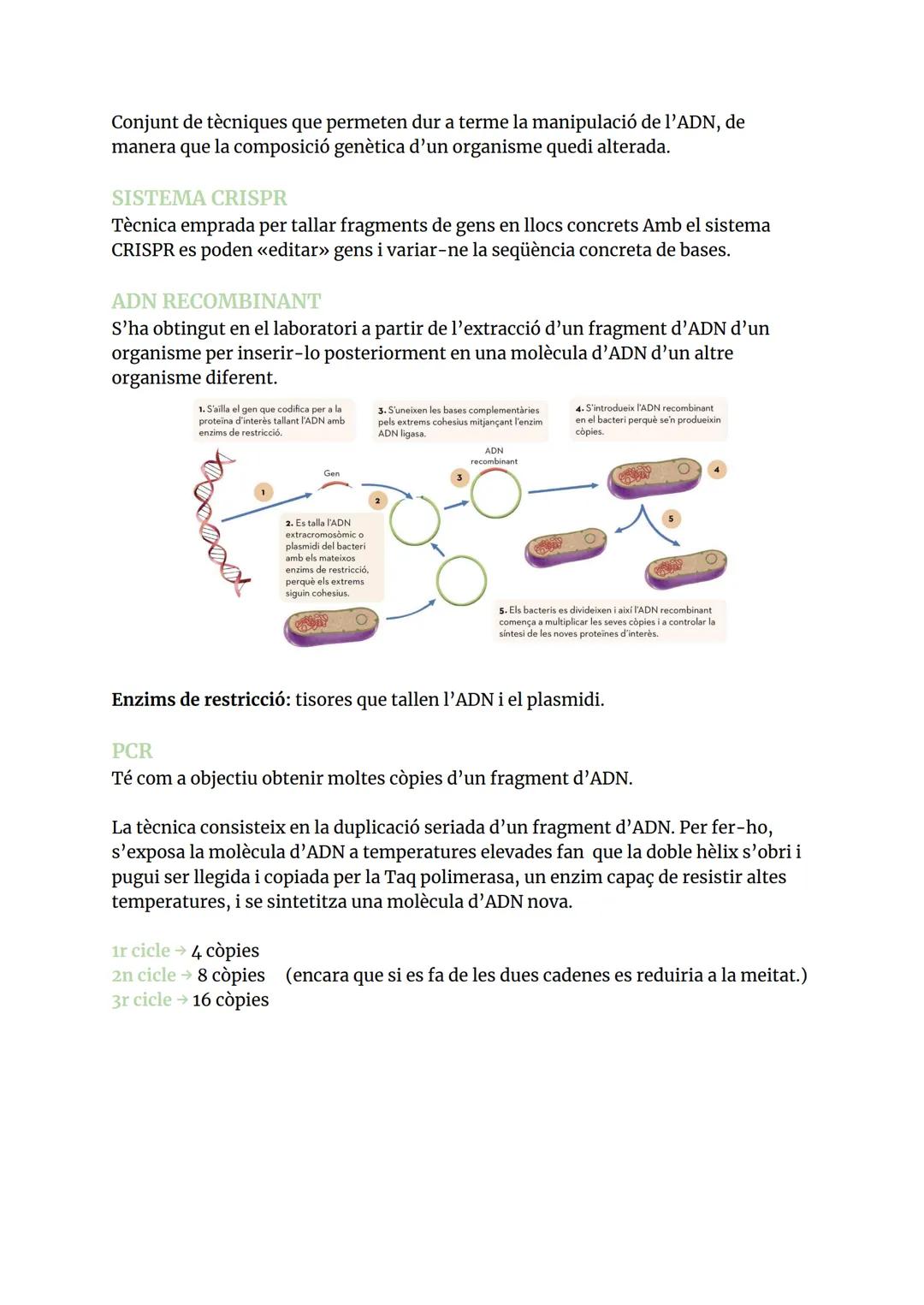 GENÈTICA MOLECULAR
ÀCIDS NUCLEICS
1.1 COMPOSICIÓ I ESTRUCTURES DELS ÀCIDS NUCLEICS
Els àcids nucleic són biomolècules orgàniques formades pe