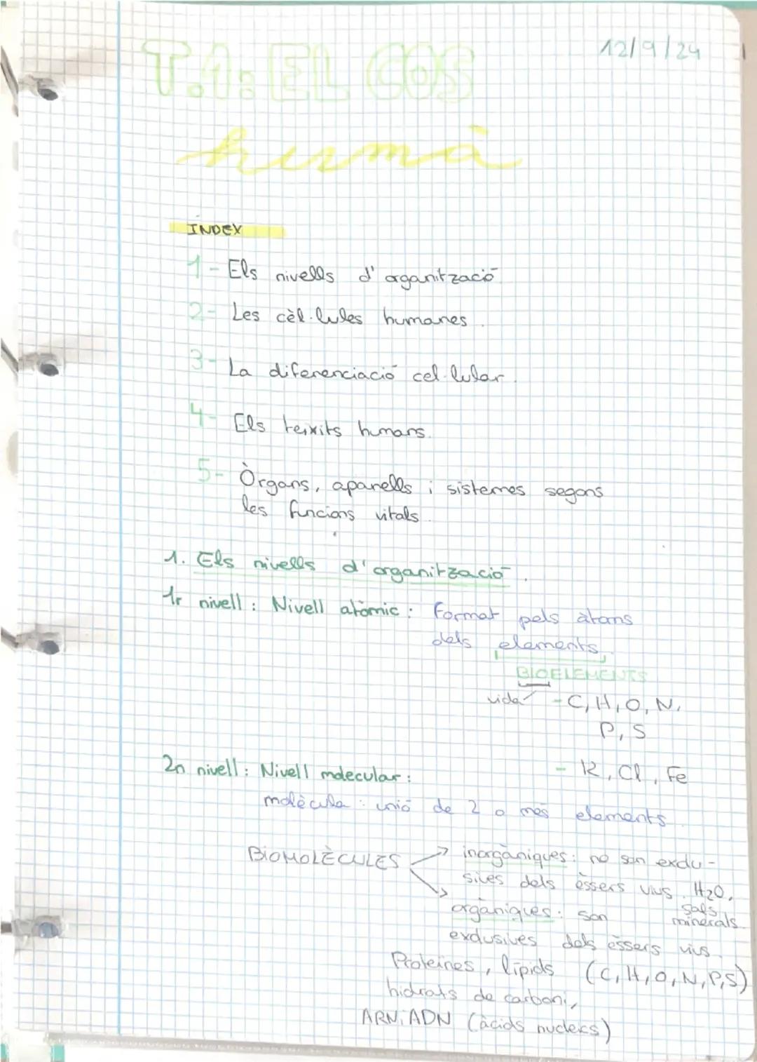 12/9/24
INDEX
1- Els nivells d'organització
- Les cèl·lules humanes.
3-La diferenciació cel·lular
Els teixits humans.
5- Organs, aparells i 