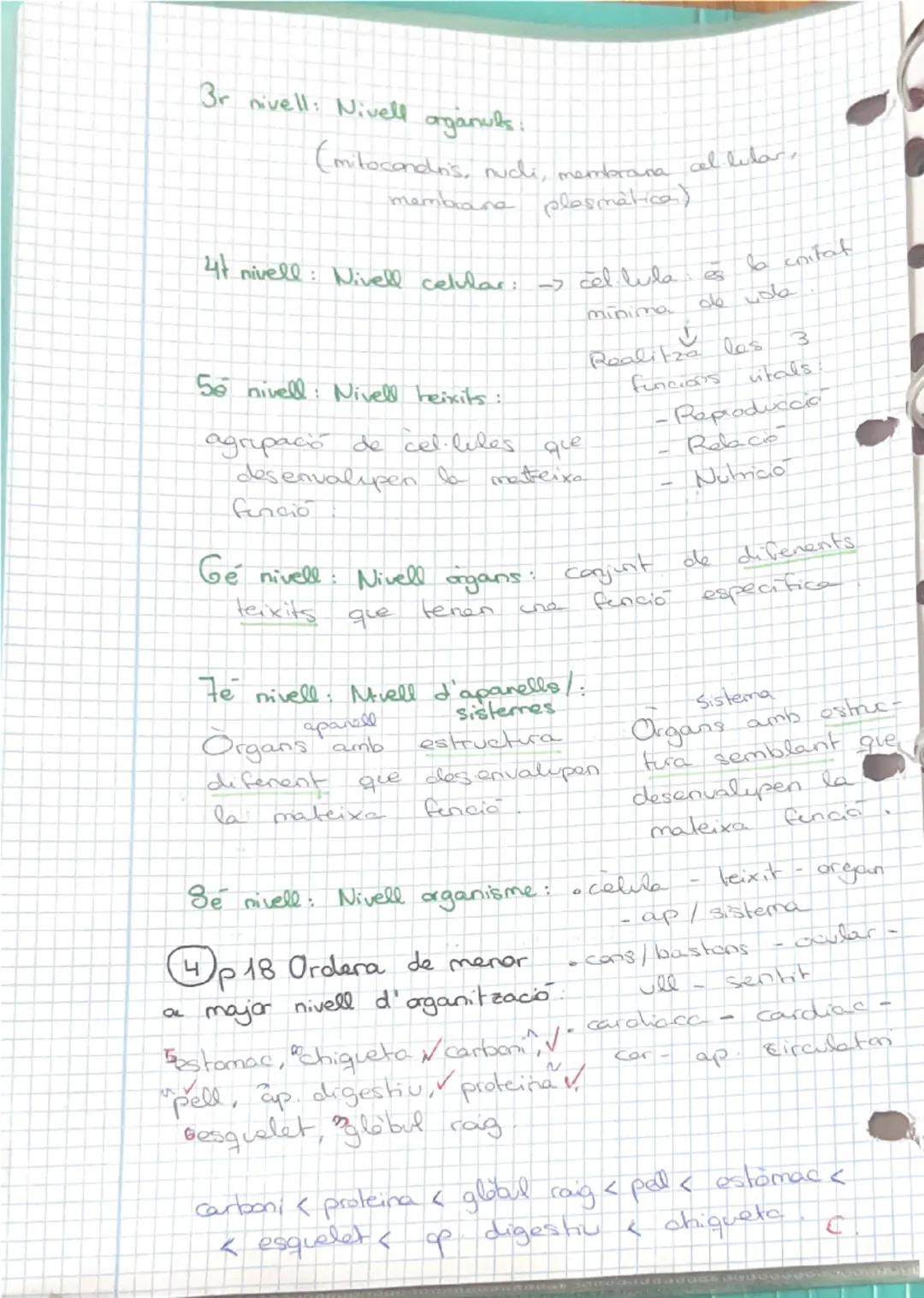 12/9/24
INDEX
1- Els nivells d'organització
- Les cèl·lules humanes.
3-La diferenciació cel·lular
Els teixits humans.
5- Organs, aparells i 