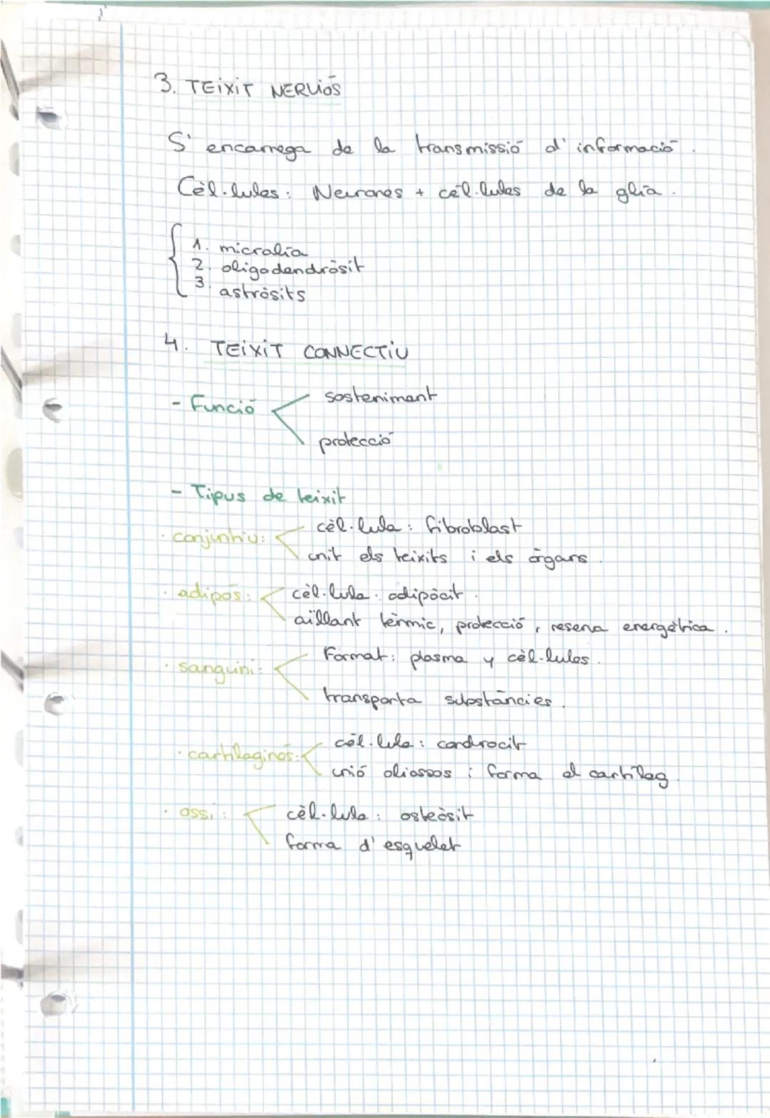 12/9/24
INDEX
1- Els nivells d'organització
- Les cèl·lules humanes.
3-La diferenciació cel·lular
Els teixits humans.
5- Organs, aparells i 