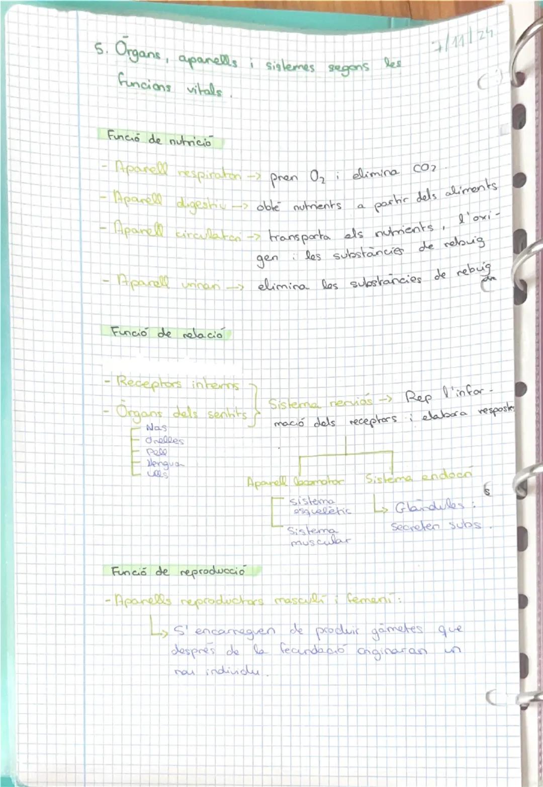 12/9/24
INDEX
1- Els nivells d'organització
- Les cèl·lules humanes.
3-La diferenciació cel·lular
Els teixits humans.
5- Organs, aparells i 