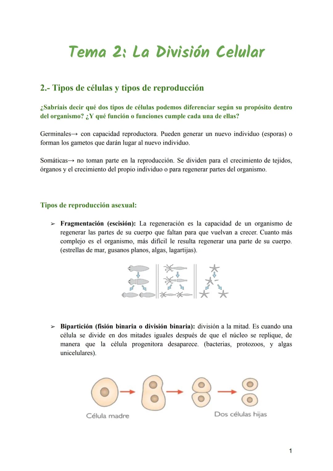 Tema 2: La División Celular
2.- Tipos de células y tipos de reproducción
¿Sabríais decir qué dos tipos de células podemos diferenciar según 