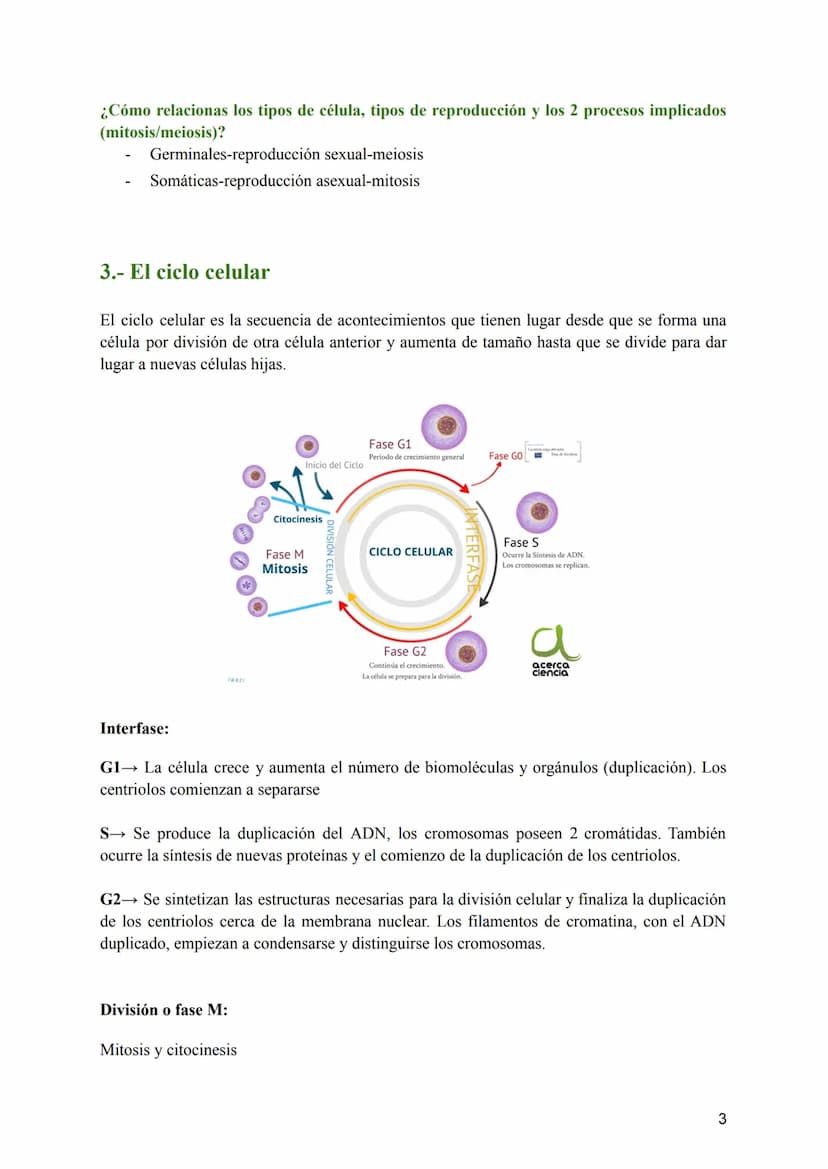 Tema 2: La División Celular
2.- Tipos de células y tipos de reproducción
¿Sabríais decir qué dos tipos de células podemos diferenciar según 