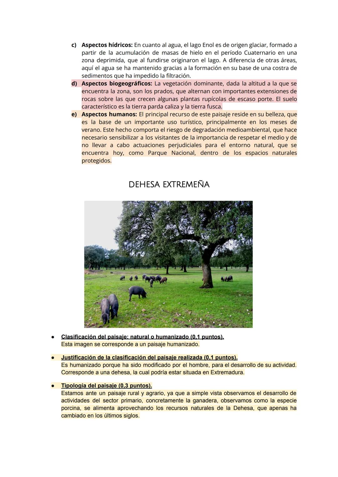 Central de Cofrentes.
a) Clasificación, justificación y tipología del paisaje
● Clasificación del paisaje:
Estamos ante un paisaje antrópico