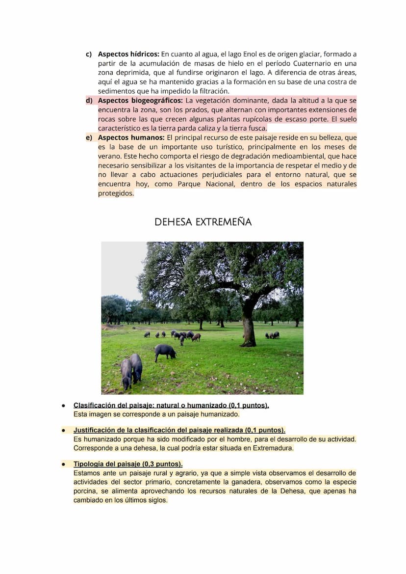 Central de Cofrentes.
a) Clasificación, justificación y tipología del paisaje
● Clasificación del paisaje:
Estamos ante un paisaje antrópico