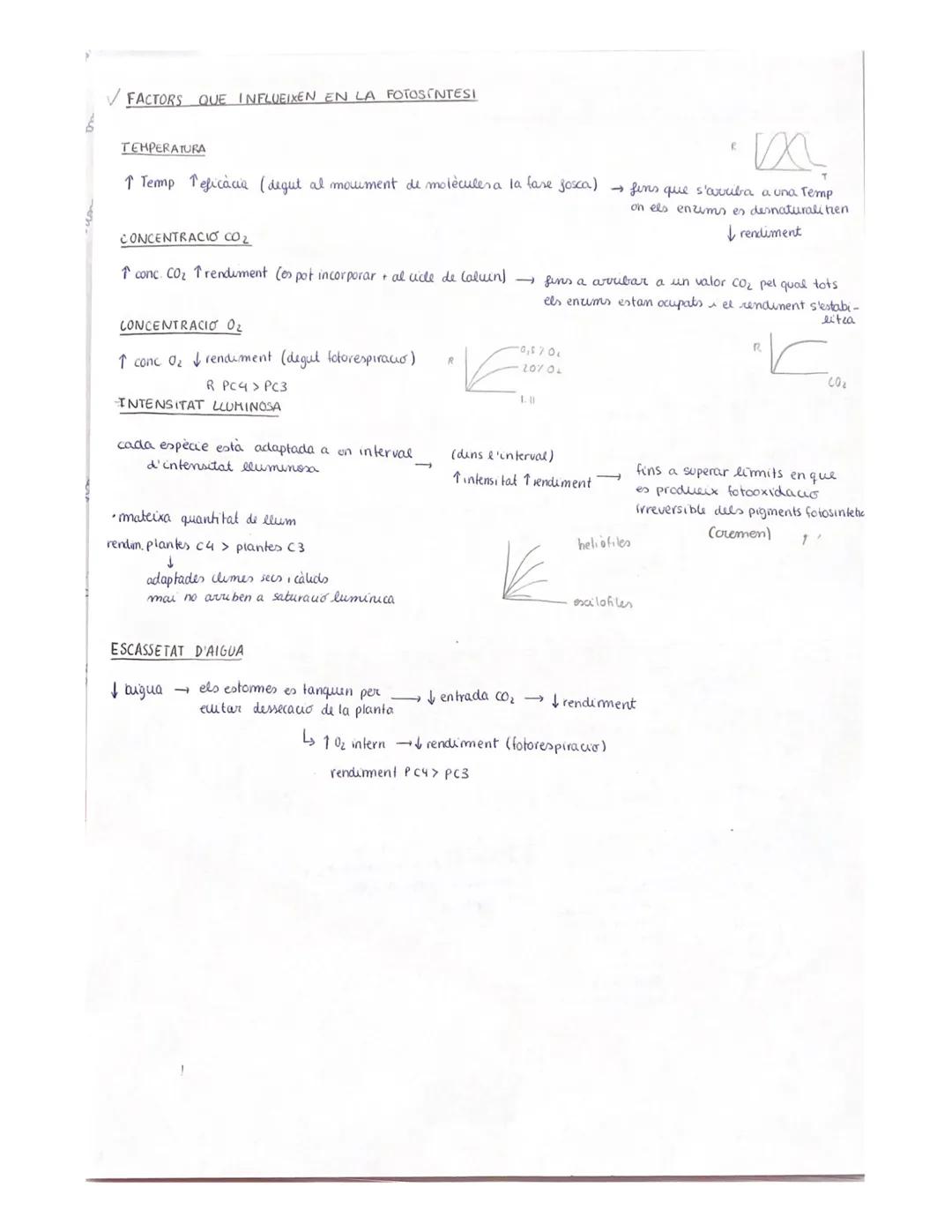 L'ENTRADA D'ENERGIA LA FOTOSINTESI

TIPUS D'ORGANISHES
*   TIPUS DE HETABOLISME

•SEGONS FONT D'ENERGIA]
→ reaccions quuumiques
- Fototrofs: