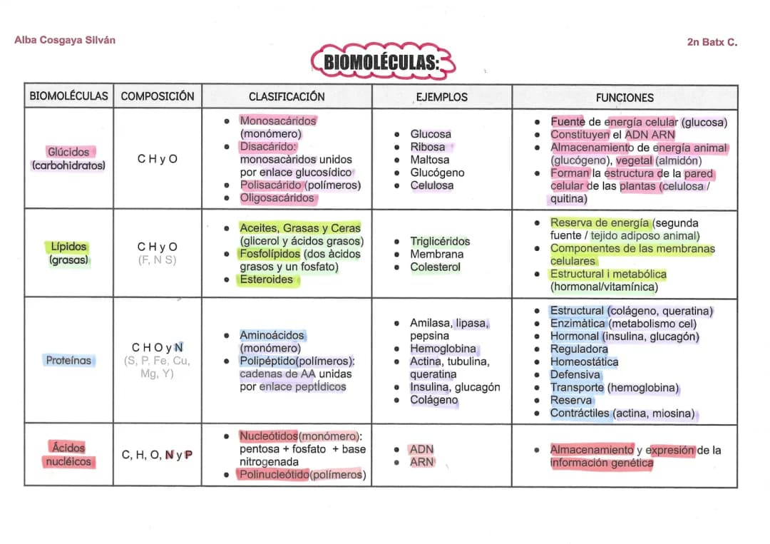 Biomoleculas