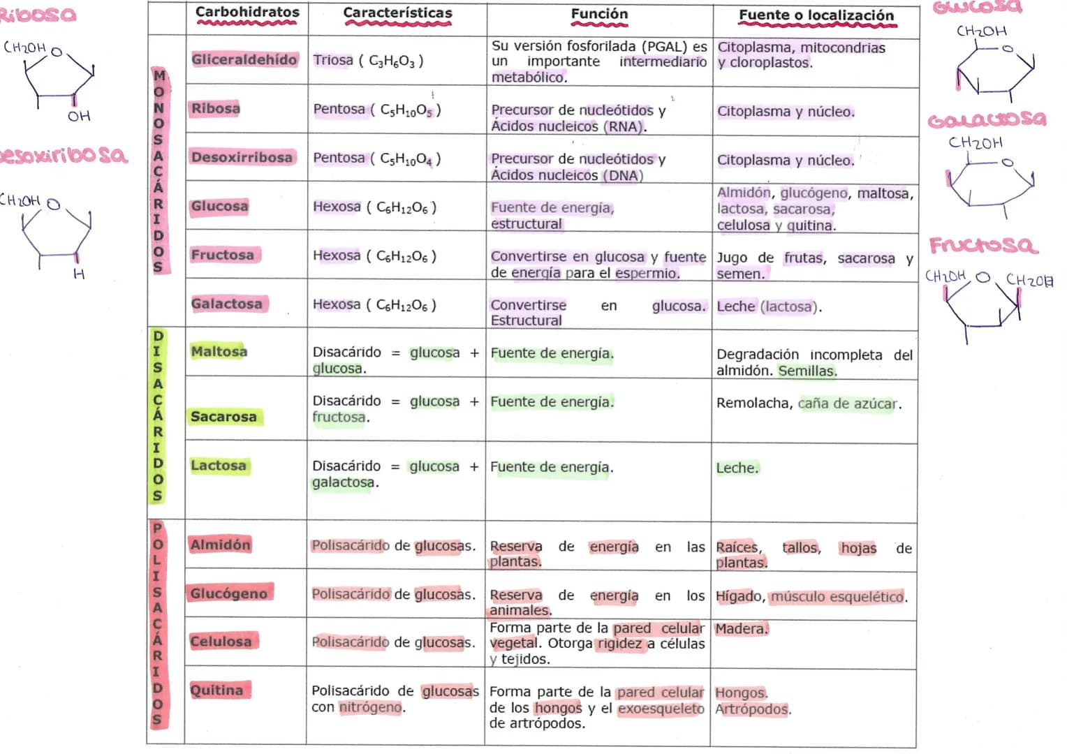 Alba Cosgaya Silván
BIOMOLÉCULAS COMPOSICIÓN
Glúcidos
(carbohidratos)
Lípidos
(grasas)
Proteínas
Ácidos
nucléicos
CHYO
CHYO
(F, NS)
CHOYN
(S