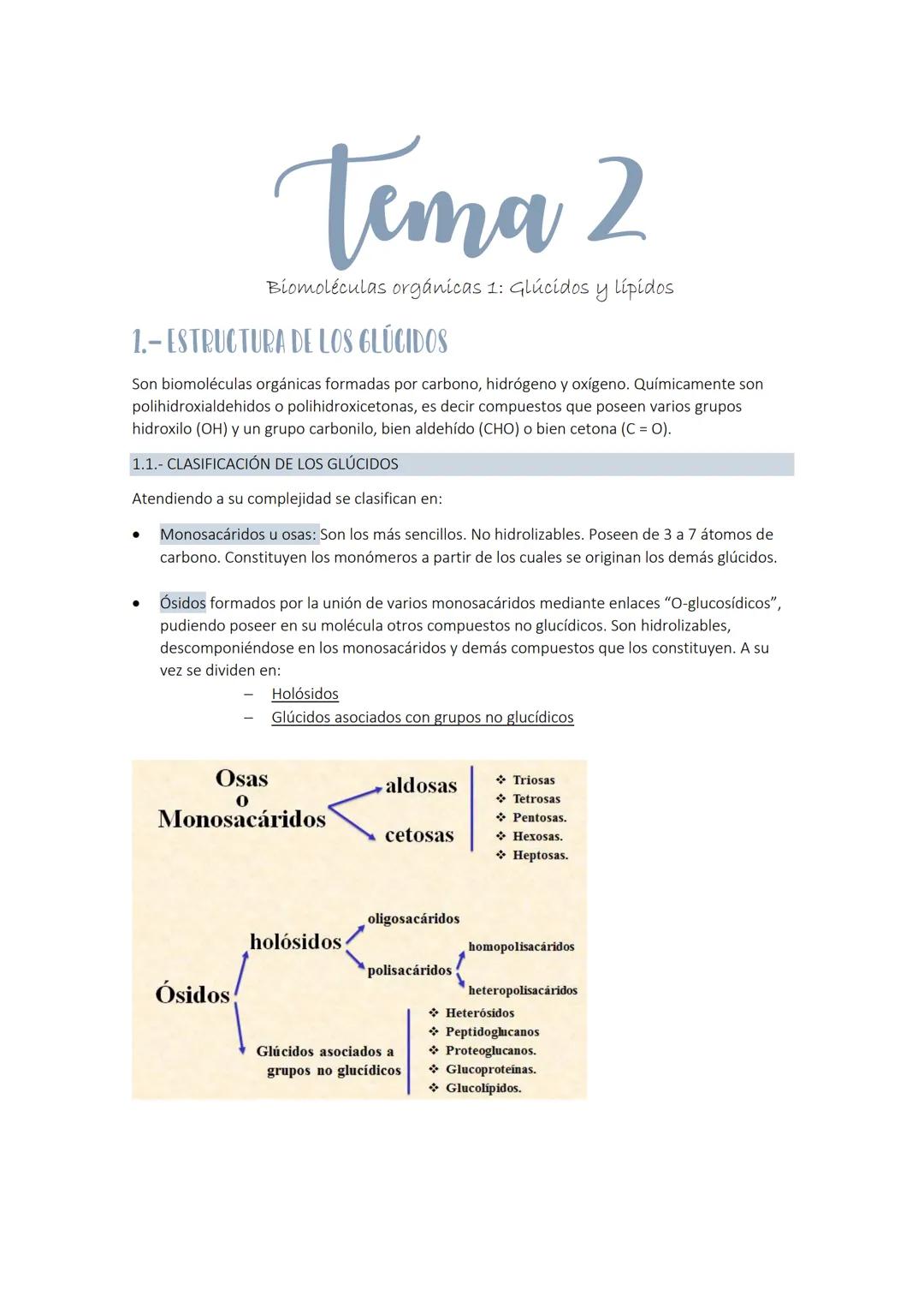 
<p>Los glúcidos son biomoléculas orgánicas compuestas por carbono, hidrógeno y oxígeno. Químicamente, son polihidroxialdehídos o polihidrox