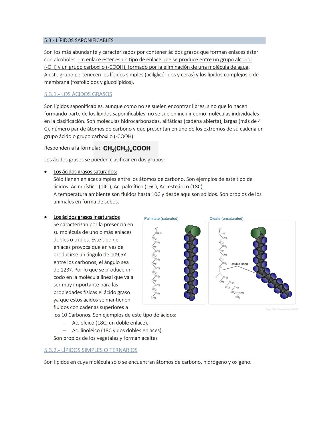 
<p>Los glúcidos son biomoléculas orgánicas compuestas por carbono, hidrógeno y oxígeno. Químicamente, son polihidroxialdehídos o polihidrox