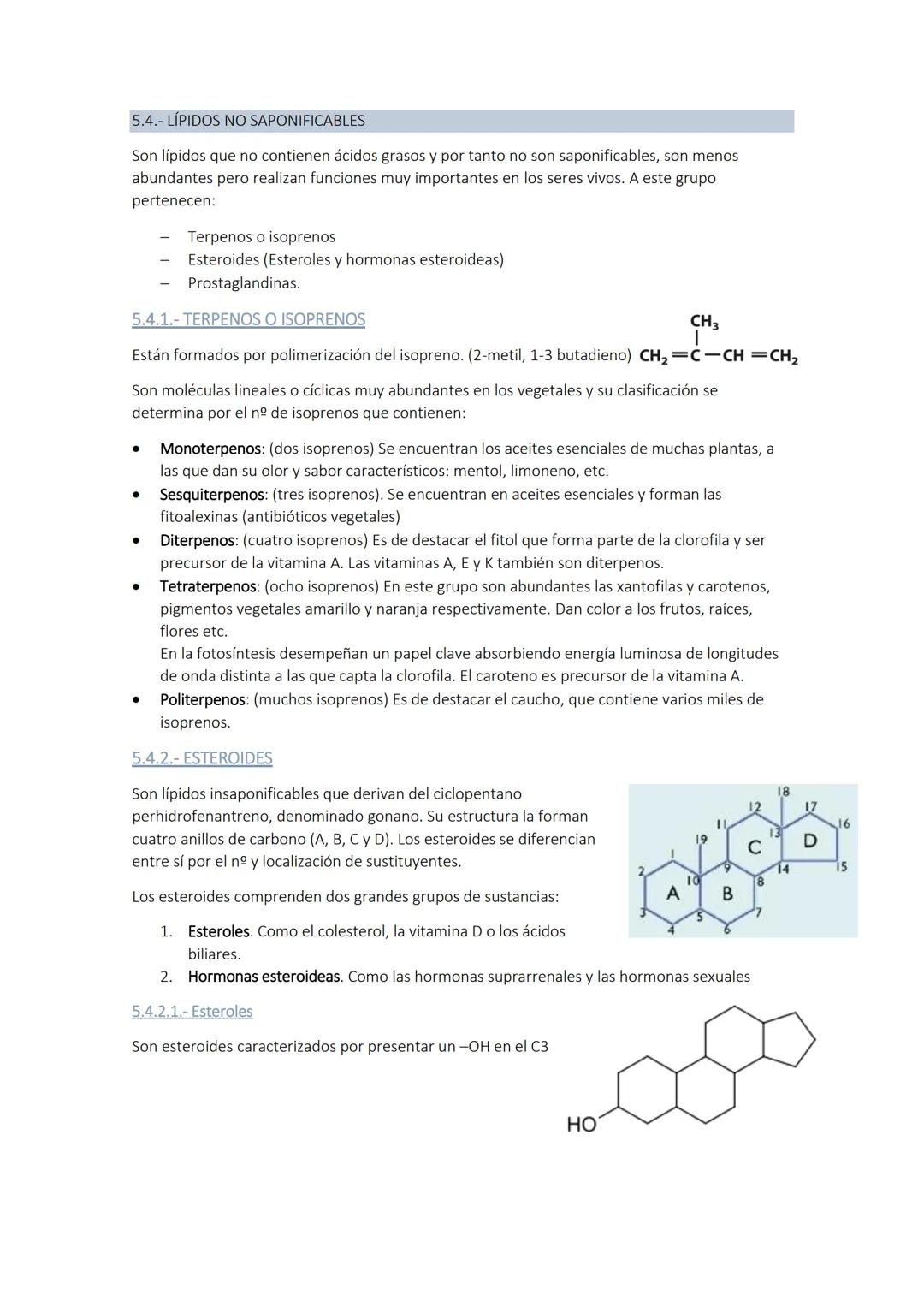 
<p>Los glúcidos son biomoléculas orgánicas compuestas por carbono, hidrógeno y oxígeno. Químicamente, son polihidroxialdehídos o polihidrox