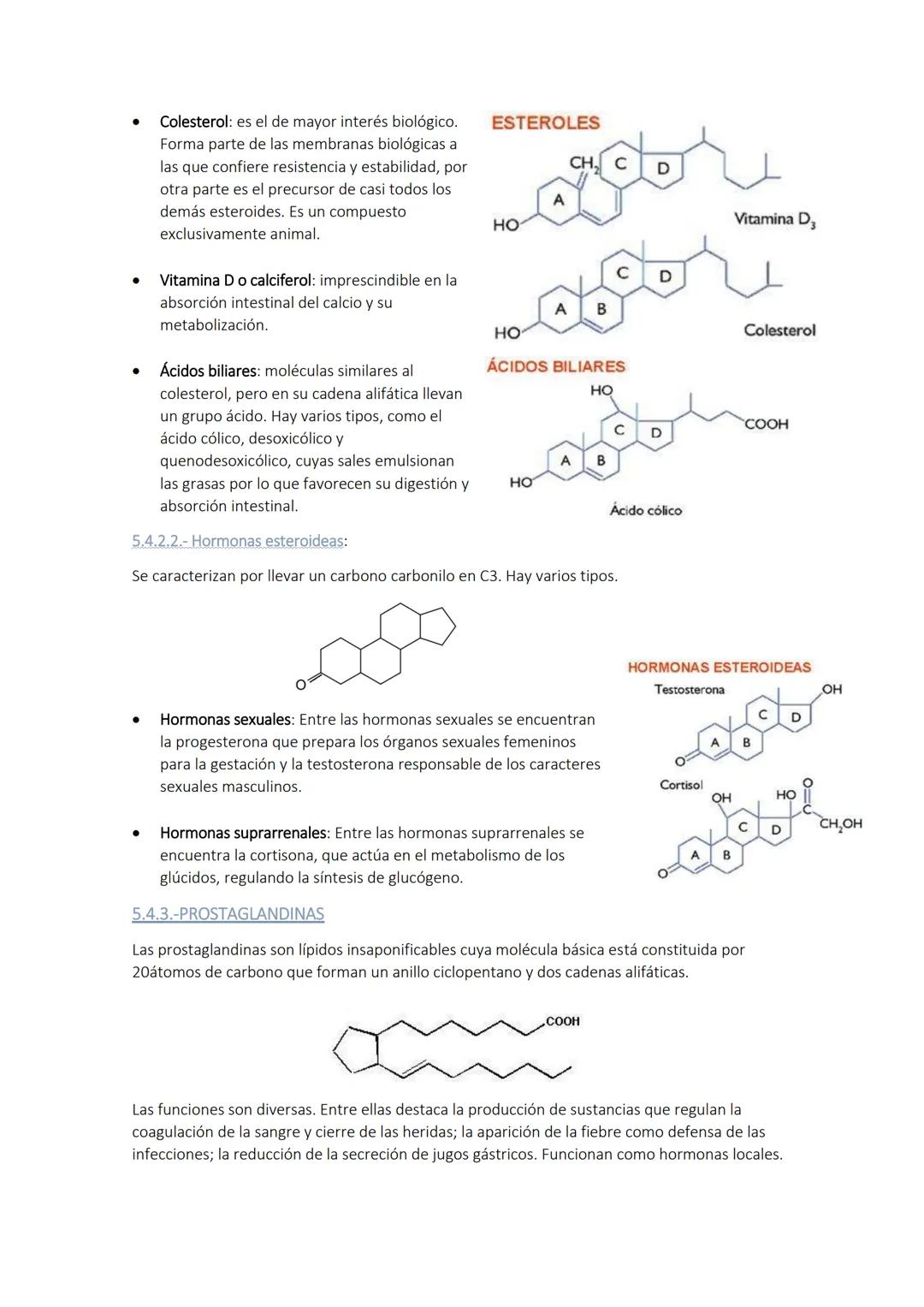 
<p>Los glúcidos son biomoléculas orgánicas compuestas por carbono, hidrógeno y oxígeno. Químicamente, son polihidroxialdehídos o polihidrox