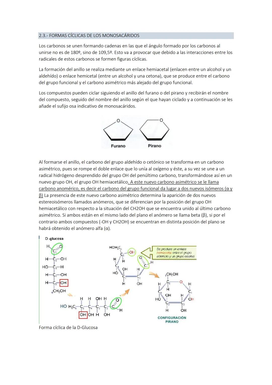 
<p>Los glúcidos son biomoléculas orgánicas compuestas por carbono, hidrógeno y oxígeno. Químicamente, son polihidroxialdehídos o polihidrox