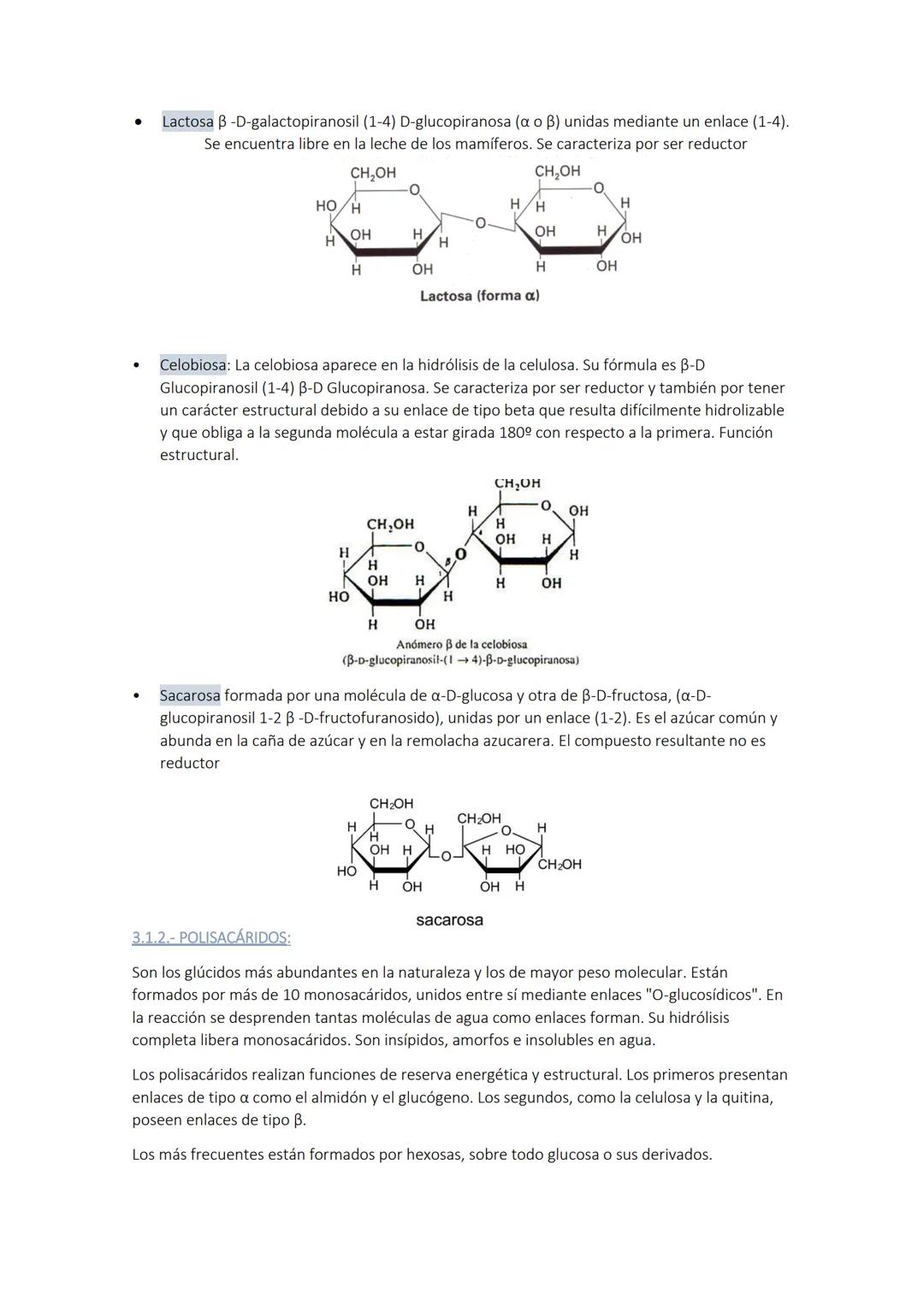 
<p>Los glúcidos son biomoléculas orgánicas compuestas por carbono, hidrógeno y oxígeno. Químicamente, son polihidroxialdehídos o polihidrox