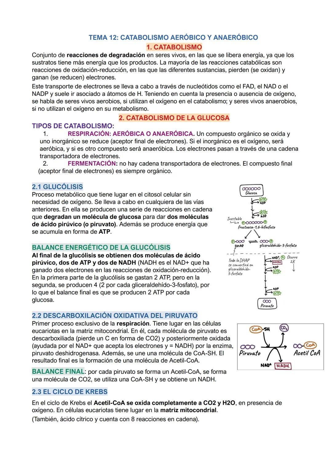TEMA 12: CATABOLISMO AERÓBICO Y ANAERÓBICO
1. CATABOLISMO
Conjunto de reacciones de degradación en seres vivos, en las que se libera energía