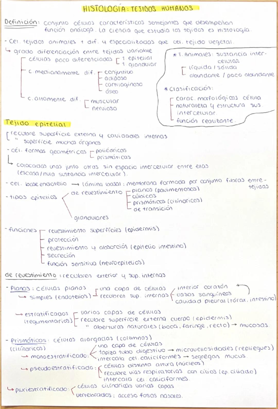 HISTOLOGÍA: TEJIDOS HUMANOS
Definición: conjunto células características semejantes que desempeñan
función analoga. La ciencia que estudia l