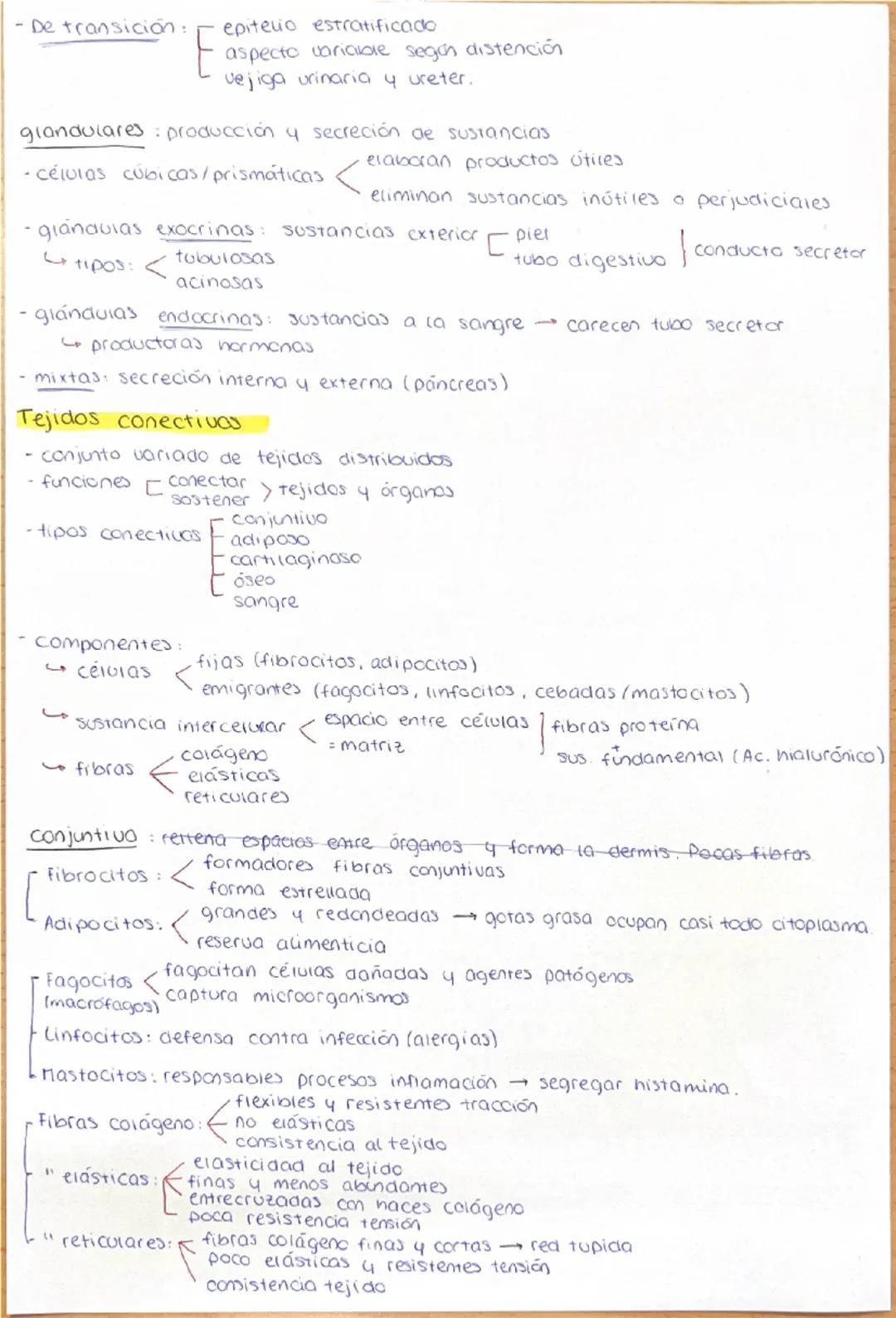 HISTOLOGÍA: TEJIDOS HUMANOS
Definición: conjunto células características semejantes que desempeñan
función analoga. La ciencia que estudia l