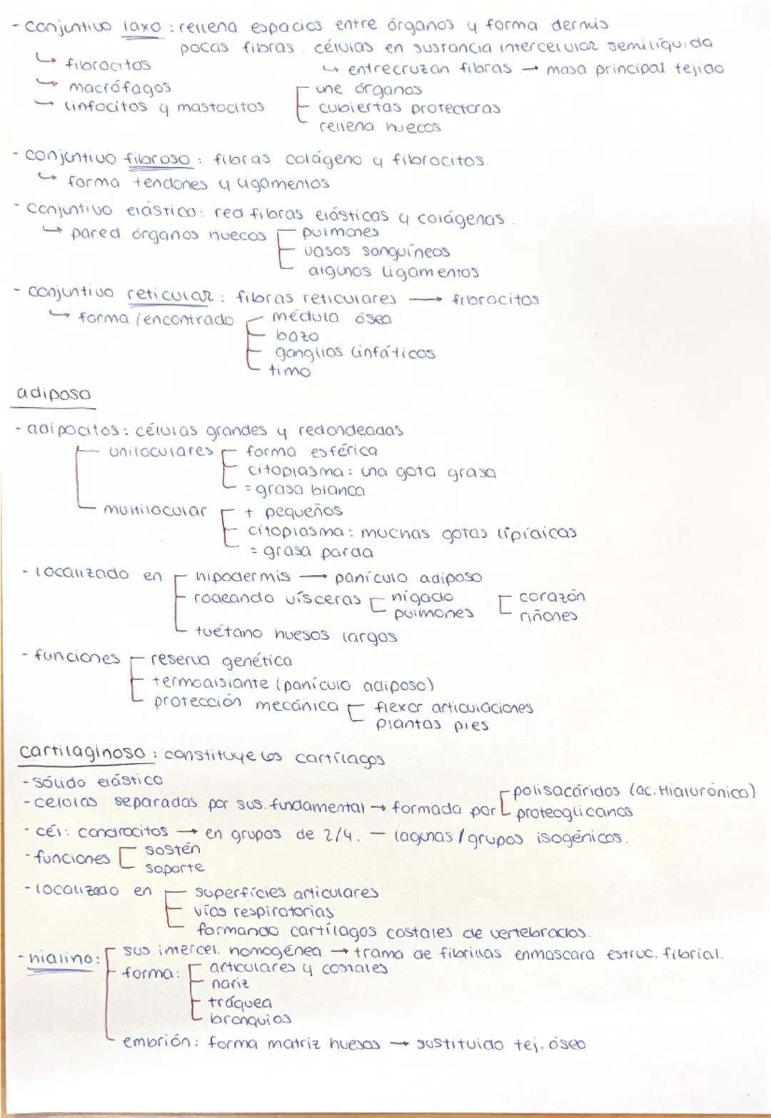 HISTOLOGÍA: TEJIDOS HUMANOS
Definición: conjunto células características semejantes que desempeñan
función analoga. La ciencia que estudia l