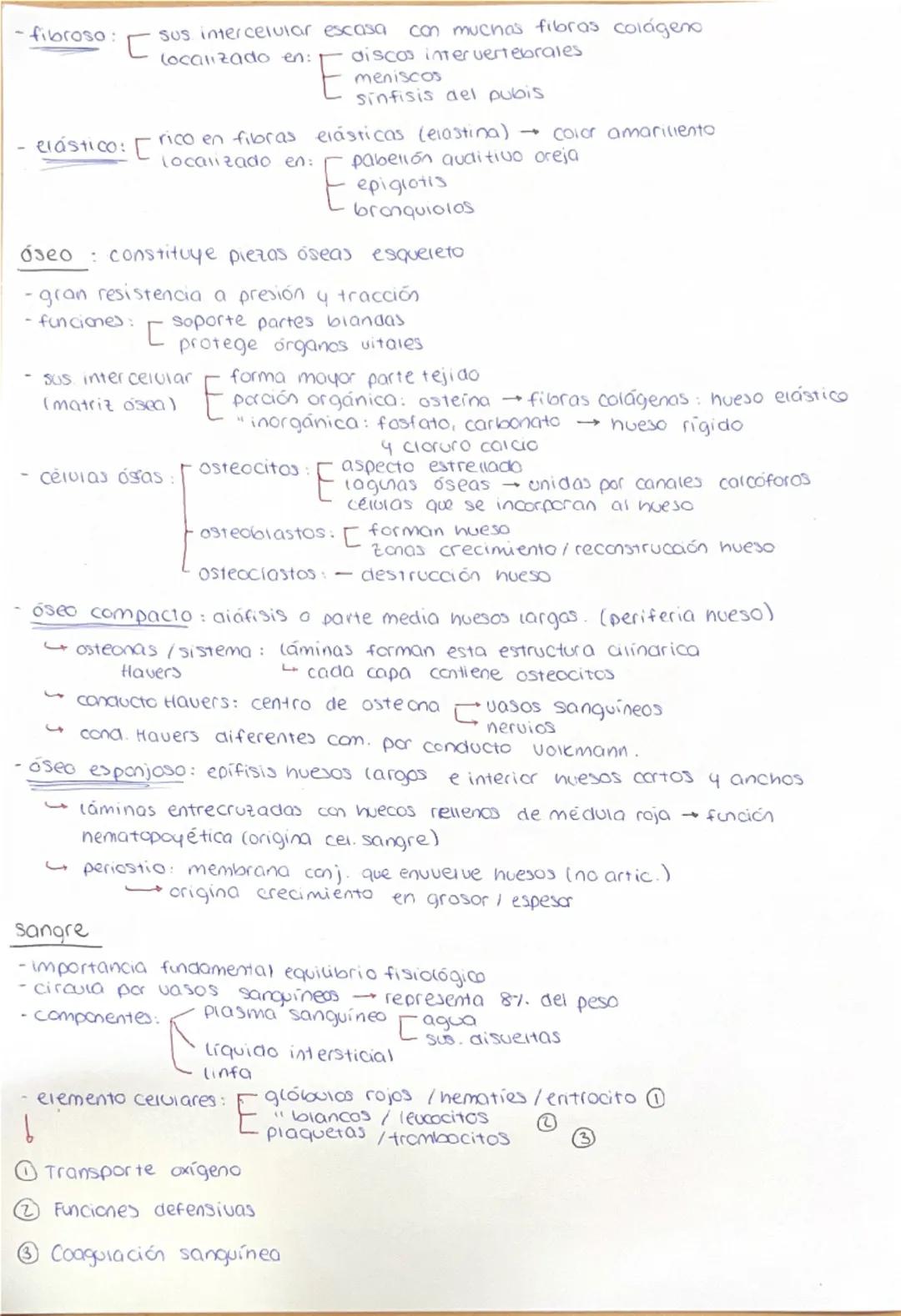 HISTOLOGÍA: TEJIDOS HUMANOS
Definición: conjunto células características semejantes que desempeñan
función analoga. La ciencia que estudia l
