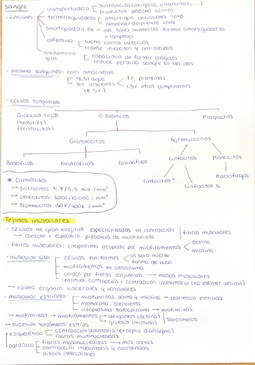 HISTOLOGÍA: TEJIDOS HUMANOS
Definición: conjunto células características semejantes que desempeñan
función analoga. La ciencia que estudia l