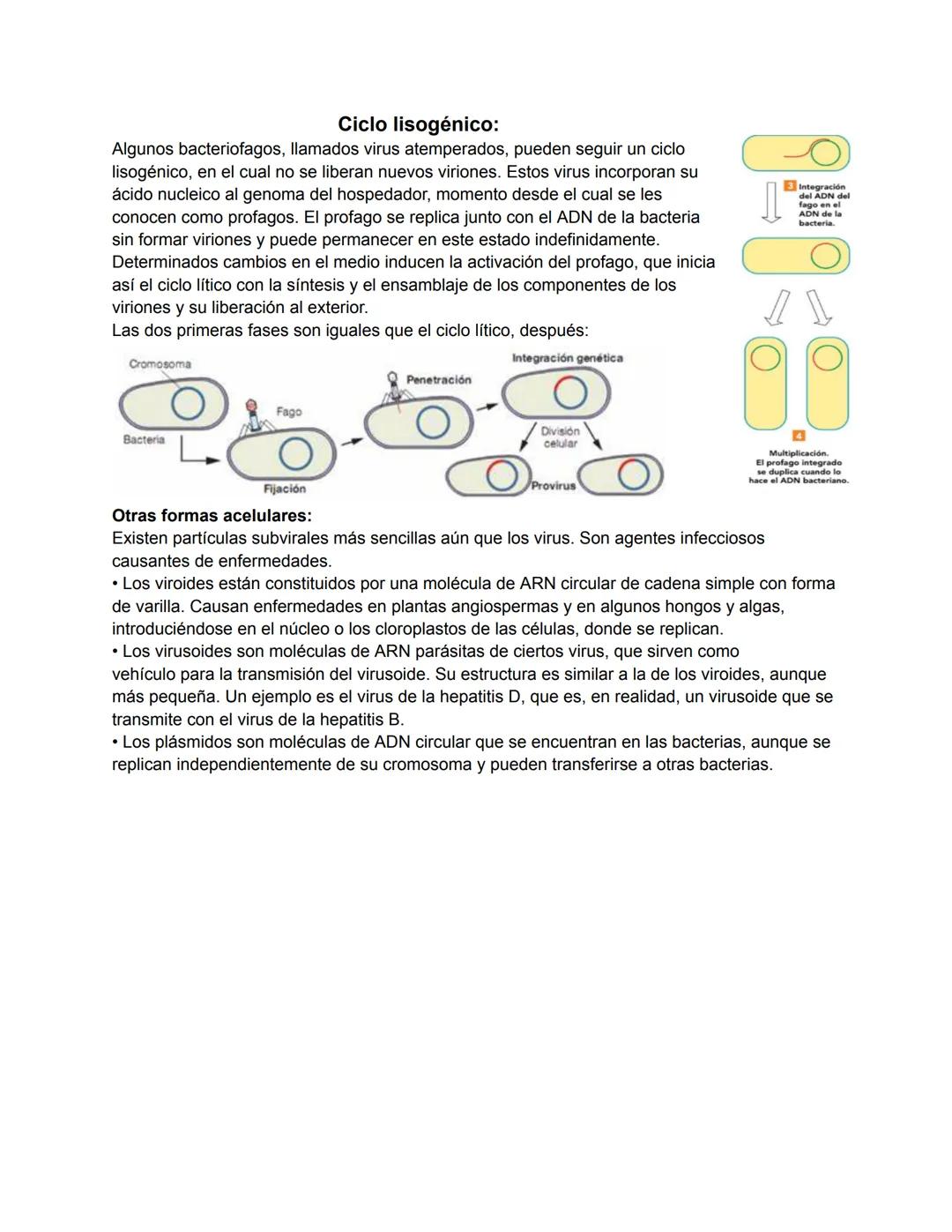 # Tipos de virus:
La cápsida de los virus puede presentar tres tipos básicos de organización, y es uno de los criterios que se utiliza
para 