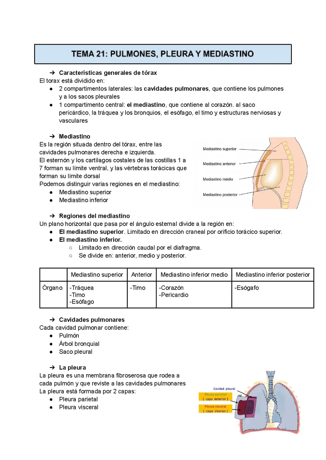 APUNTES PULMONES