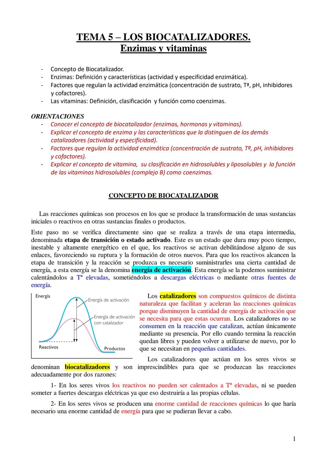 Biocatalizadores: Enzimas y Vitaminas - Componentes y Funciones