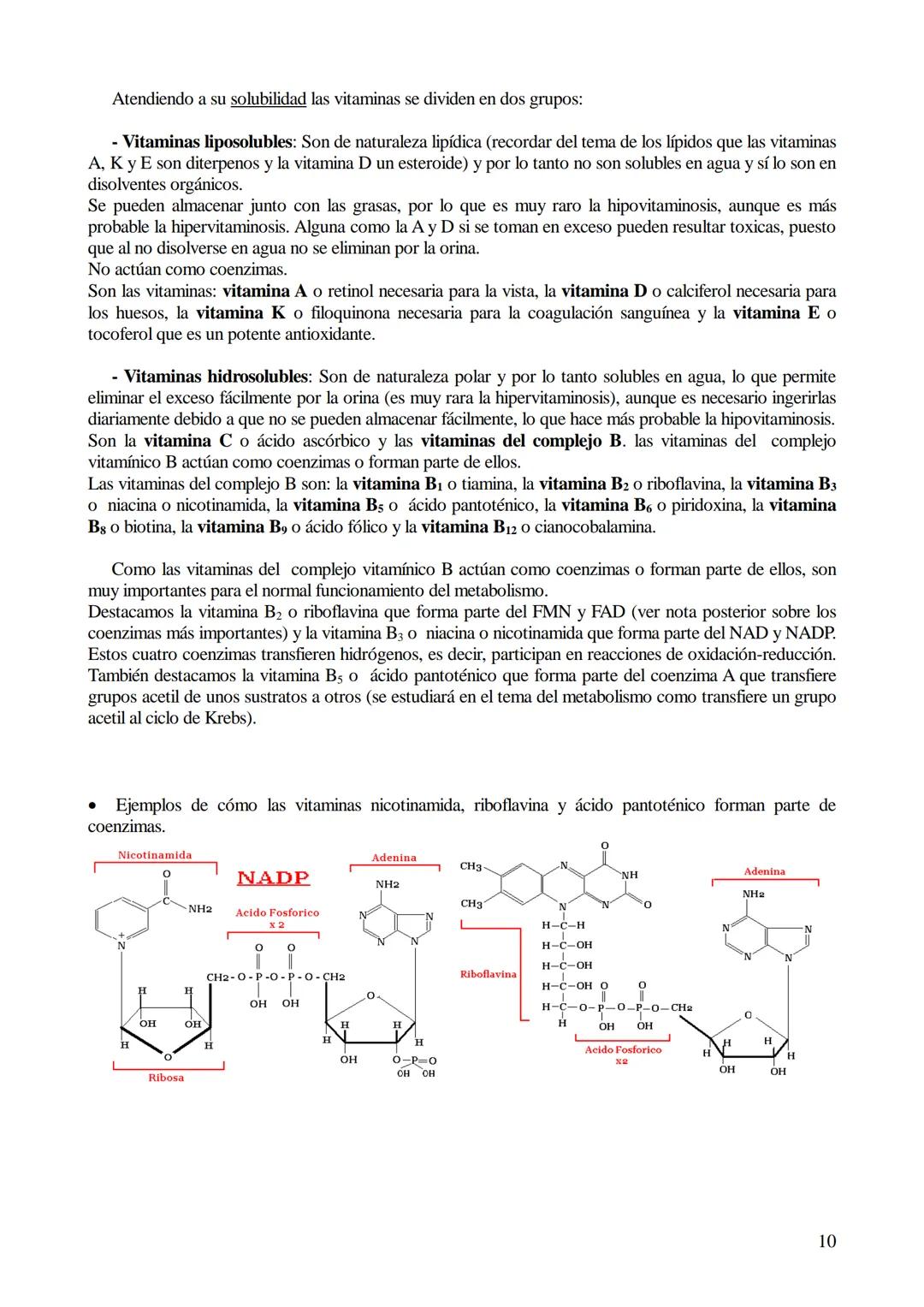 # TEMA 5-LOS BIOCATALIZADORES.
## Enzimas y vitaminas

- Concepto de Biocatalizador.
- Enzimas: Definición y características (actividad y es