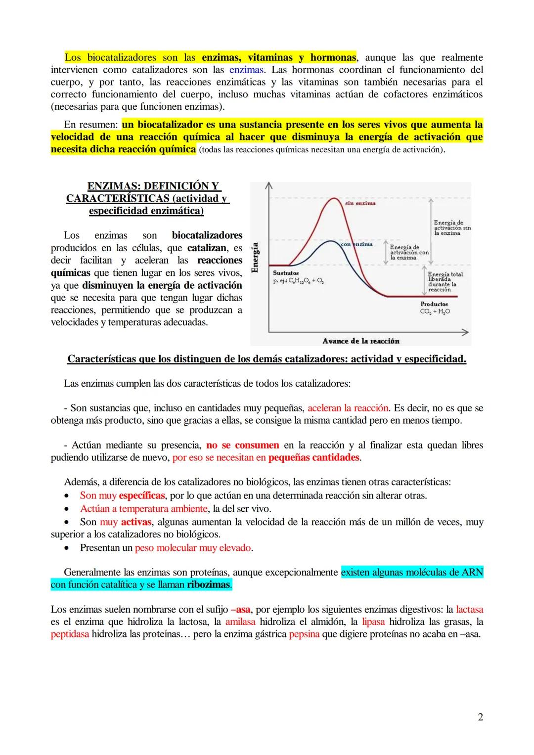 # TEMA 5-LOS BIOCATALIZADORES.
## Enzimas y vitaminas

- Concepto de Biocatalizador.
- Enzimas: Definición y características (actividad y es