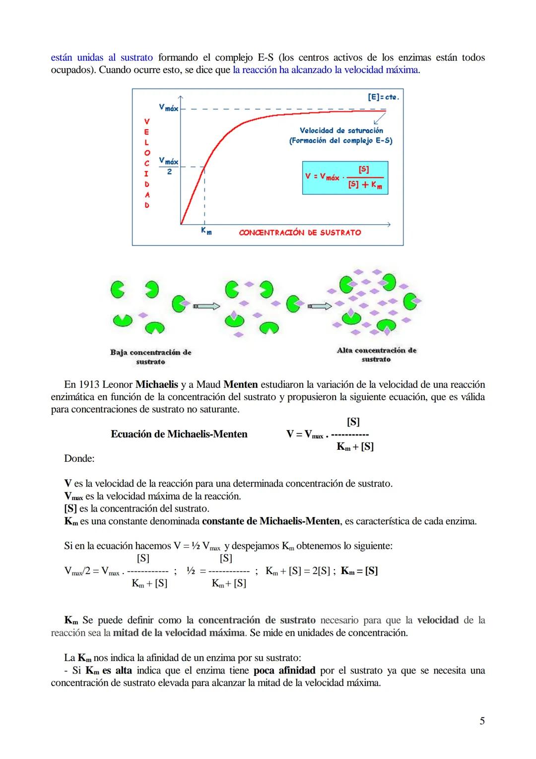 # TEMA 5-LOS BIOCATALIZADORES.
## Enzimas y vitaminas

- Concepto de Biocatalizador.
- Enzimas: Definición y características (actividad y es