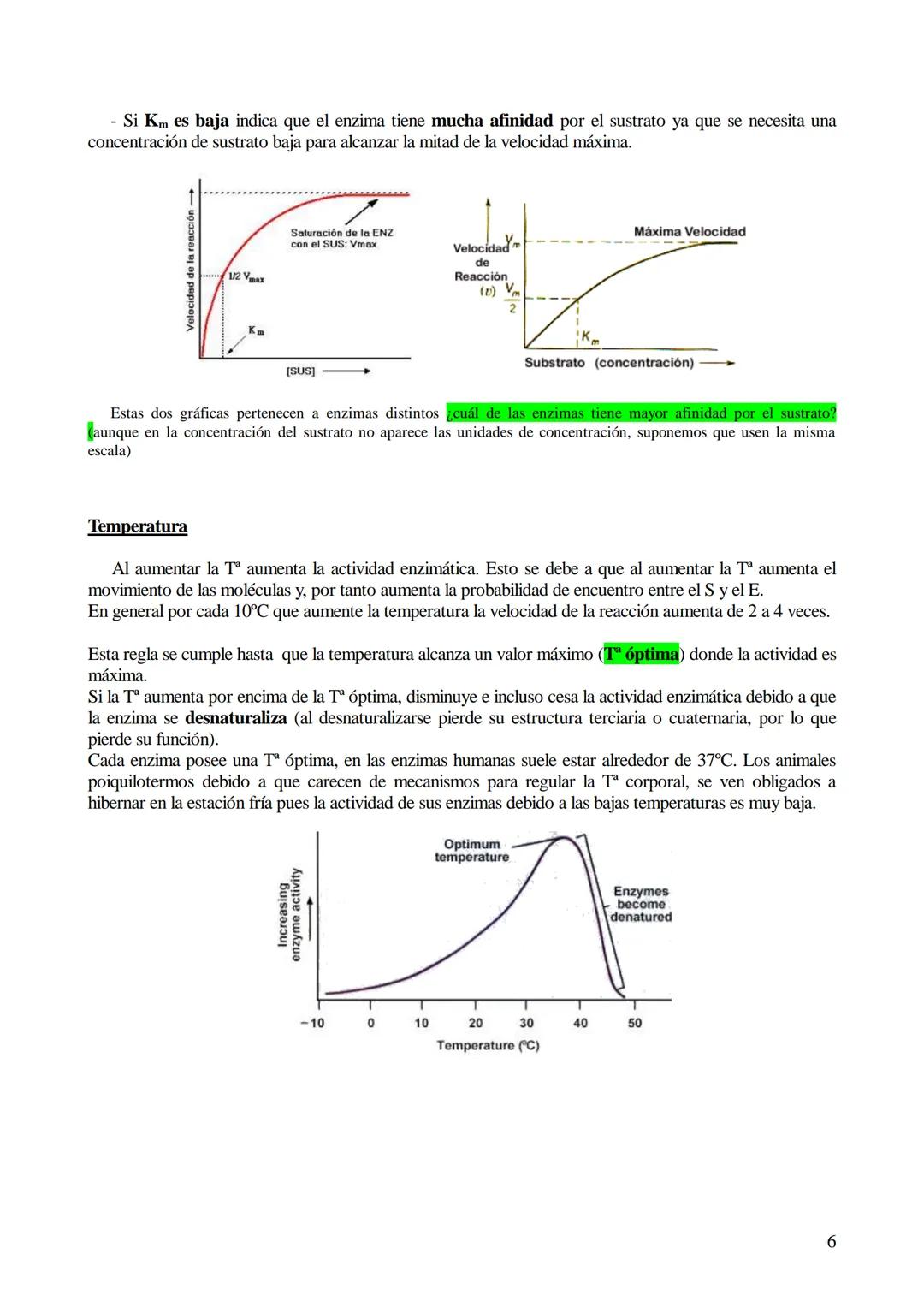 # TEMA 5-LOS BIOCATALIZADORES.
## Enzimas y vitaminas

- Concepto de Biocatalizador.
- Enzimas: Definición y características (actividad y es