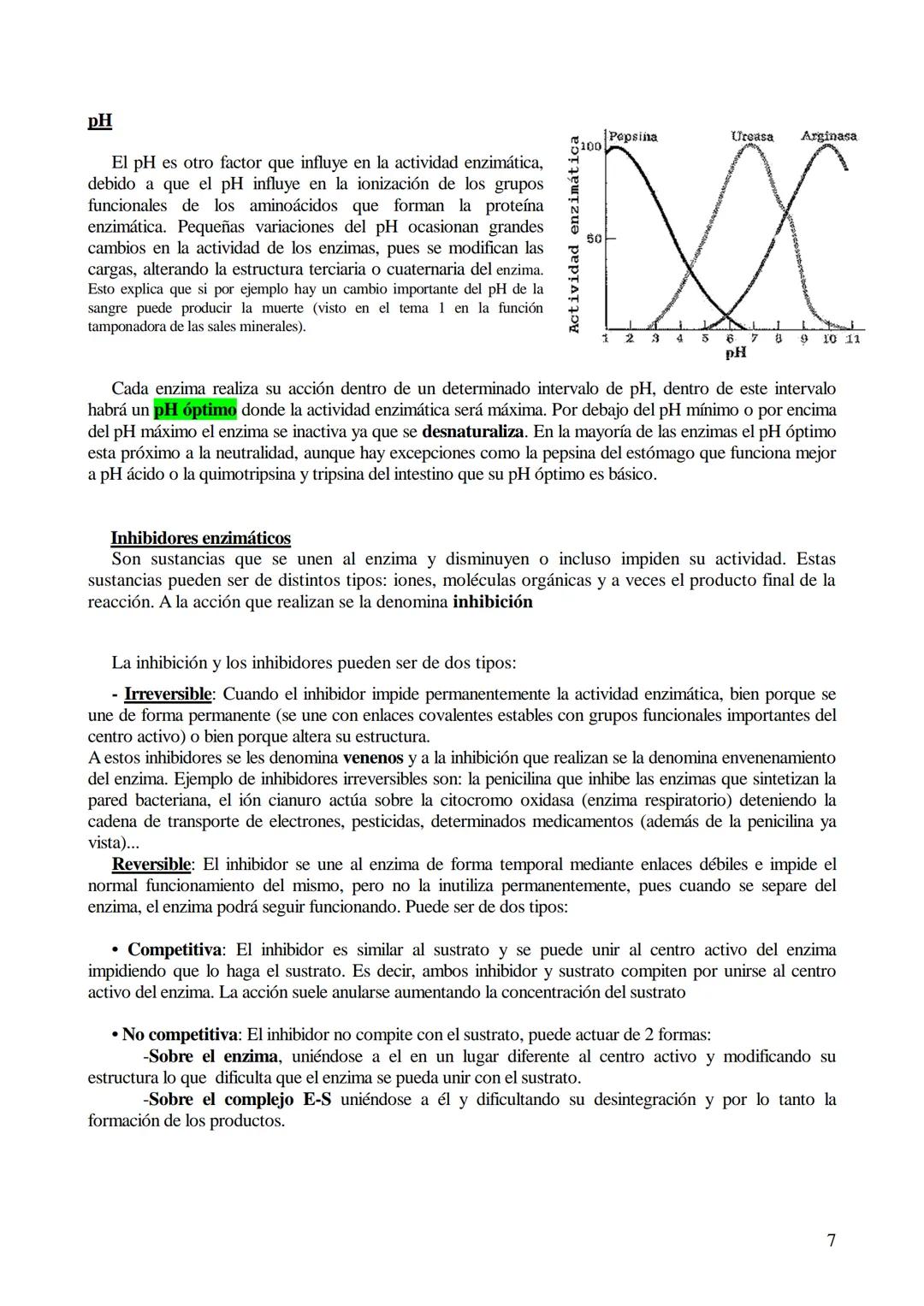 # TEMA 5-LOS BIOCATALIZADORES.
## Enzimas y vitaminas

- Concepto de Biocatalizador.
- Enzimas: Definición y características (actividad y es