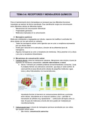 Know RECEPTORES Y MENSAJEROS QUÍMICOS thumbnail