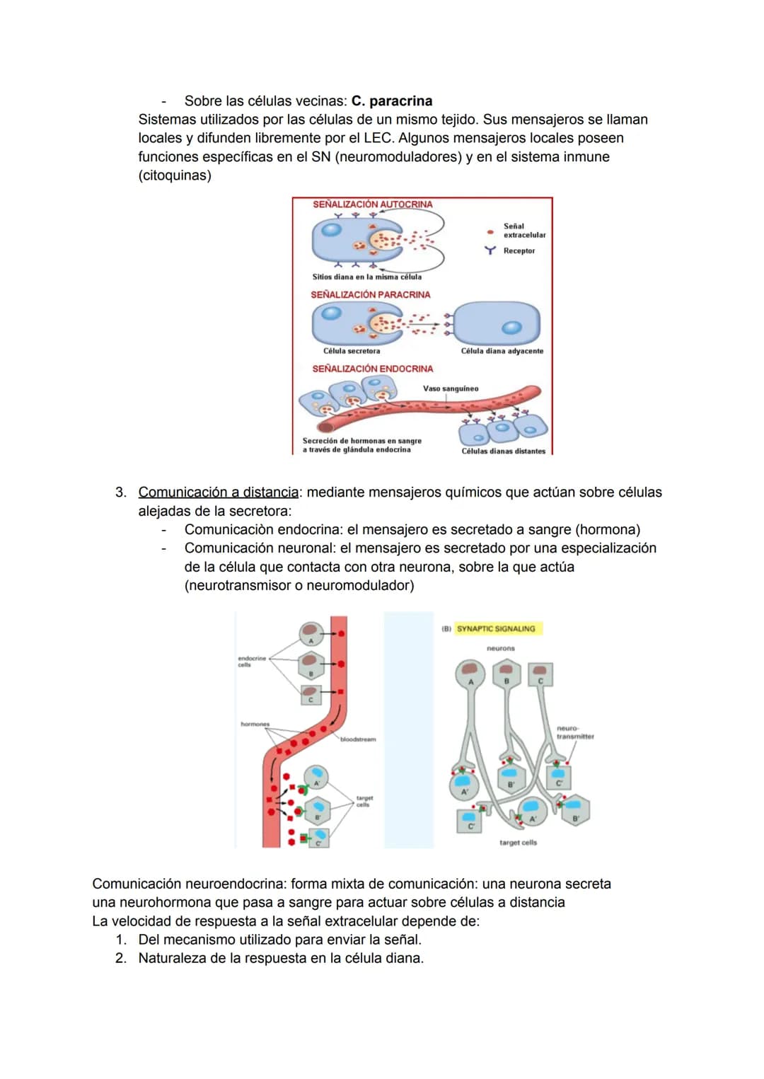 TEMA 5-6: RECEPTORES Y MENSAJEROS QUÍMICOS
Para el mantenimiento de la homeostasis es necesario que las diferentes funciones
corporales se r