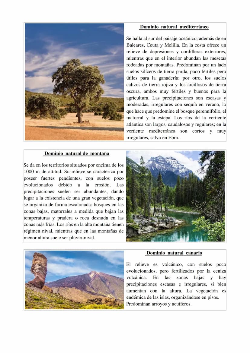 1. LOS PAISAJES NATURALES
1.1. ¿Qué son los paisajes geográficos?
El paisaje geográfico es el aspecto visual de un territorio. Lógicamente d