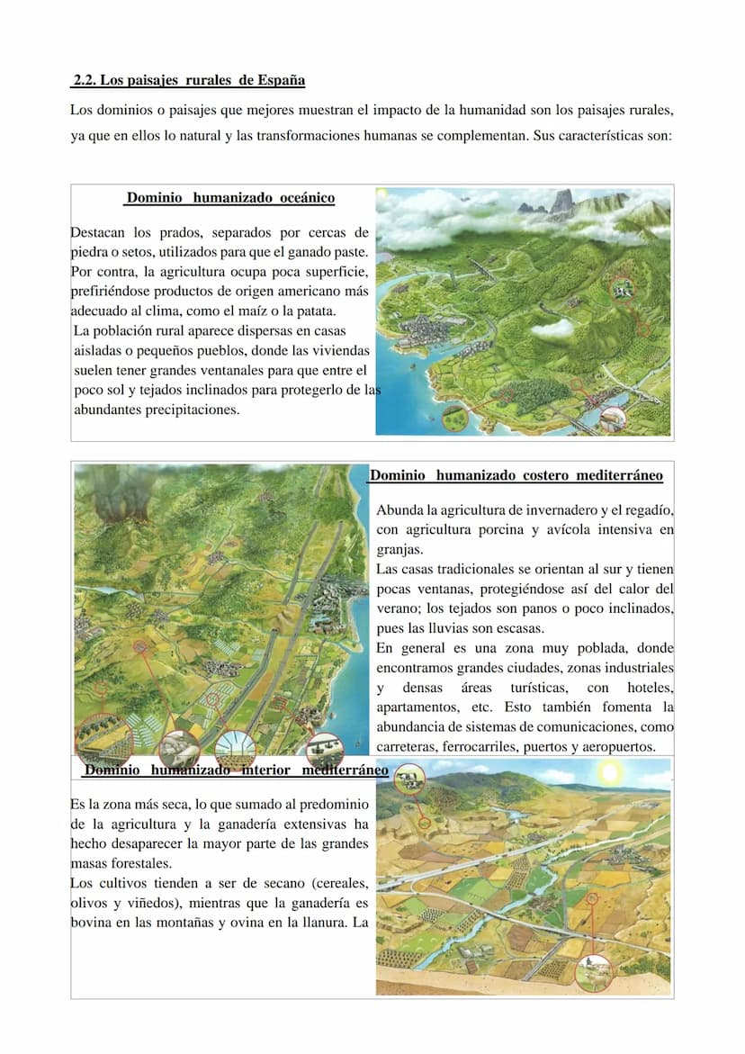 1. LOS PAISAJES NATURALES
1.1. ¿Qué son los paisajes geográficos?
El paisaje geográfico es el aspecto visual de un territorio. Lógicamente d