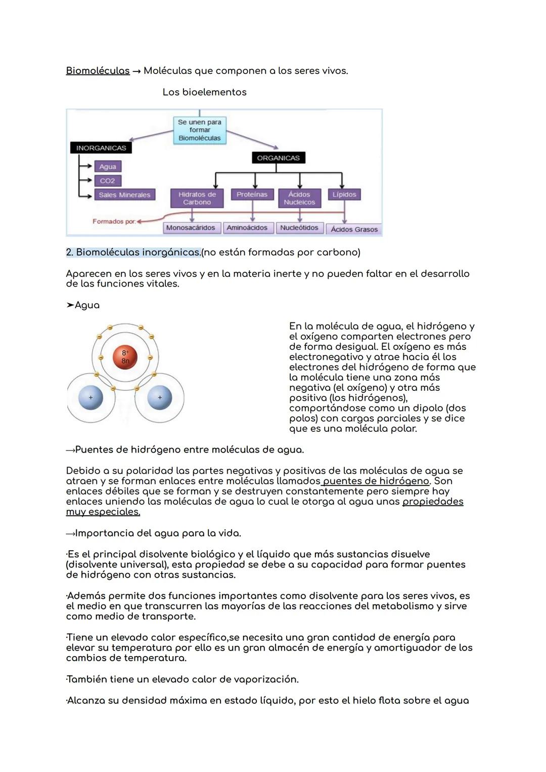 # BIOLOGIA UNIDAD 8: NIVELES DE ORGANIZACIÓN DE
LOS SERES VIVOS.

1.Los seres vivos y su organización.

Bioelementos → Elementos químicos de