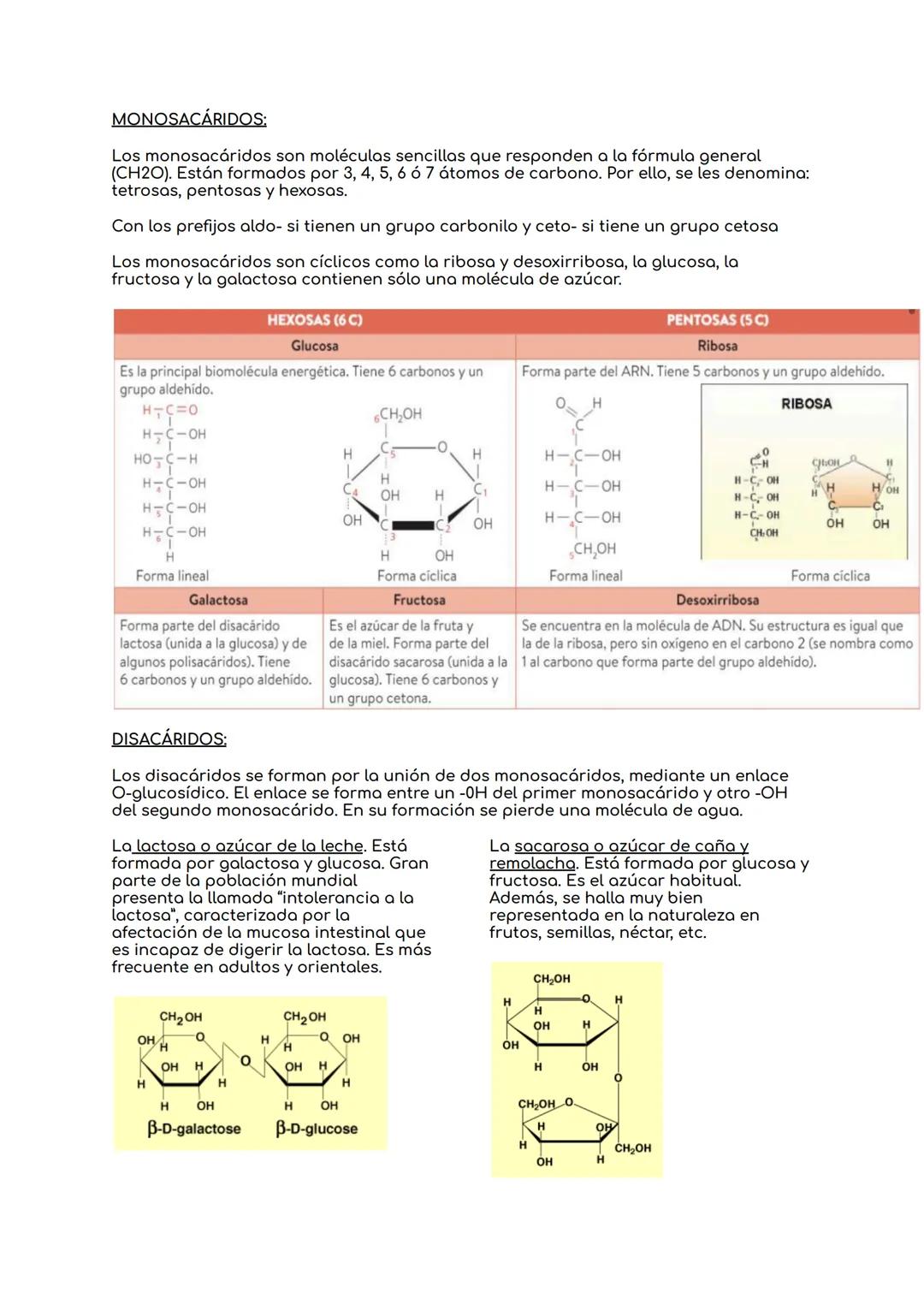 # BIOLOGIA UNIDAD 8: NIVELES DE ORGANIZACIÓN DE
LOS SERES VIVOS.

1.Los seres vivos y su organización.

Bioelementos → Elementos químicos de