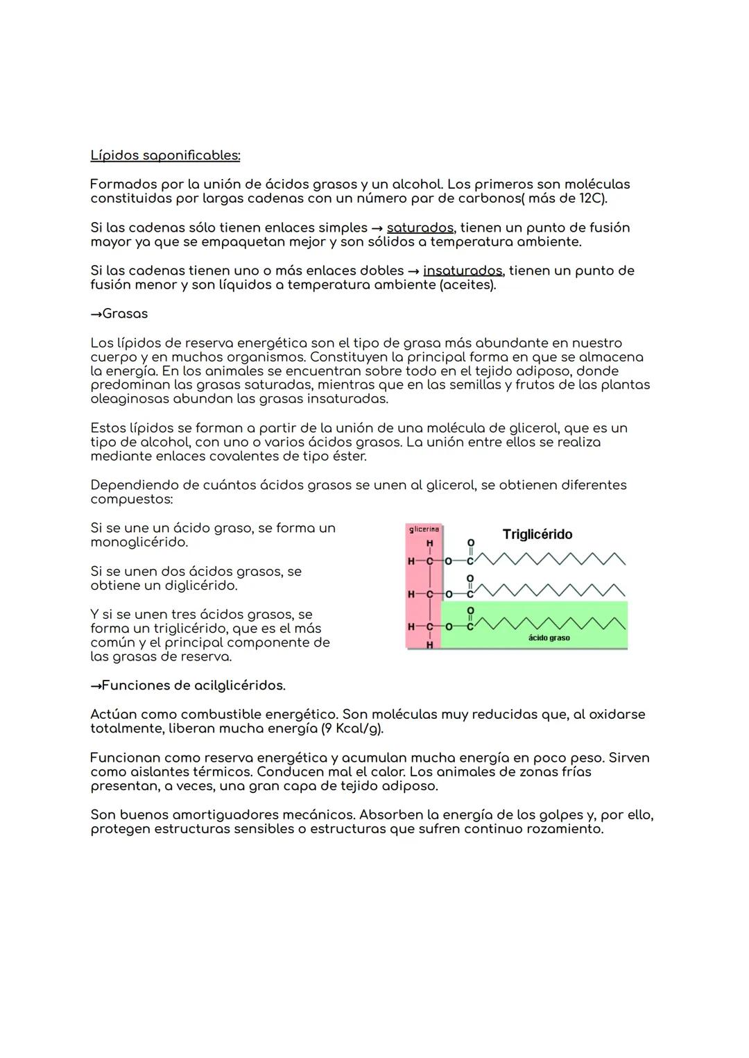 # BIOLOGIA UNIDAD 8: NIVELES DE ORGANIZACIÓN DE
LOS SERES VIVOS.

1.Los seres vivos y su organización.

Bioelementos → Elementos químicos de