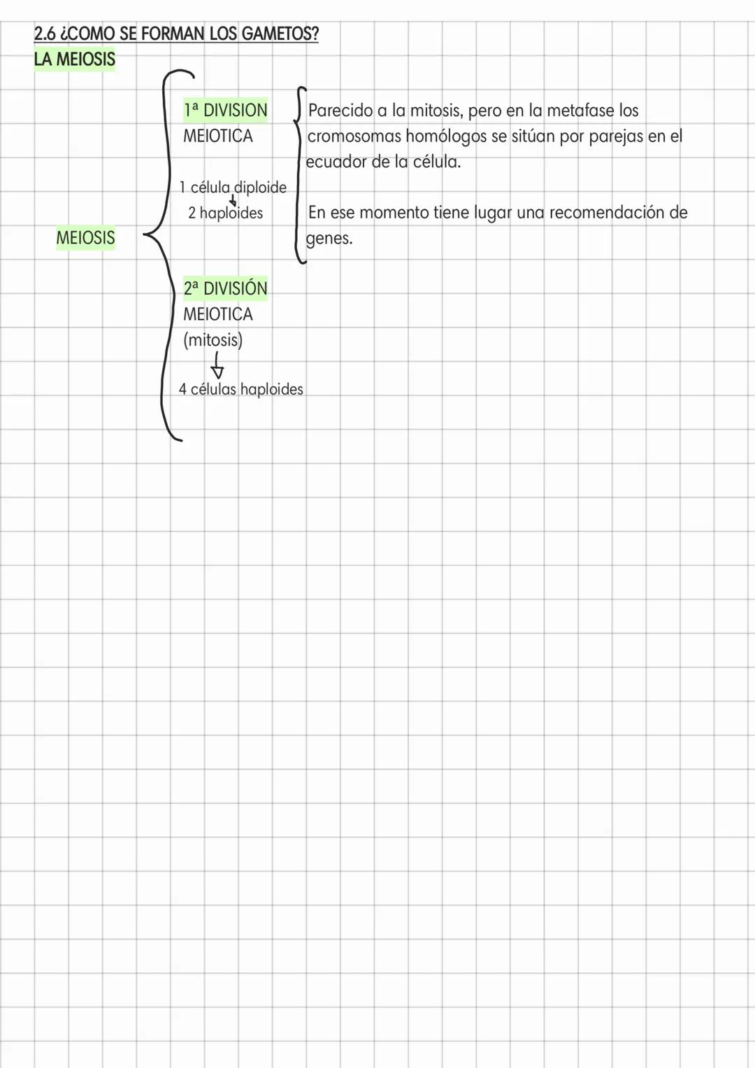 LA DIVISIÓN CELULAR
2.1 ¿QUÉ HAY EN EL INTERIOR DEL NÚCLEO CELULAR?
COMPONENTES DEL NÚCLEO
cromátida
CROMATINA Y CROMOSOMAS
Cuando la célula