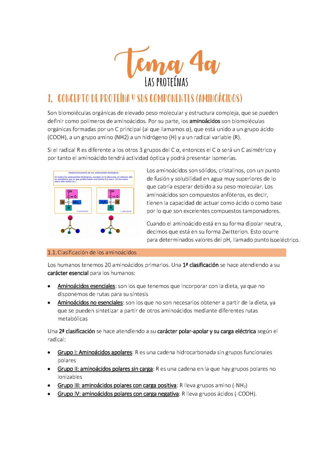 Proteínas: Biomoléculas Esenciales