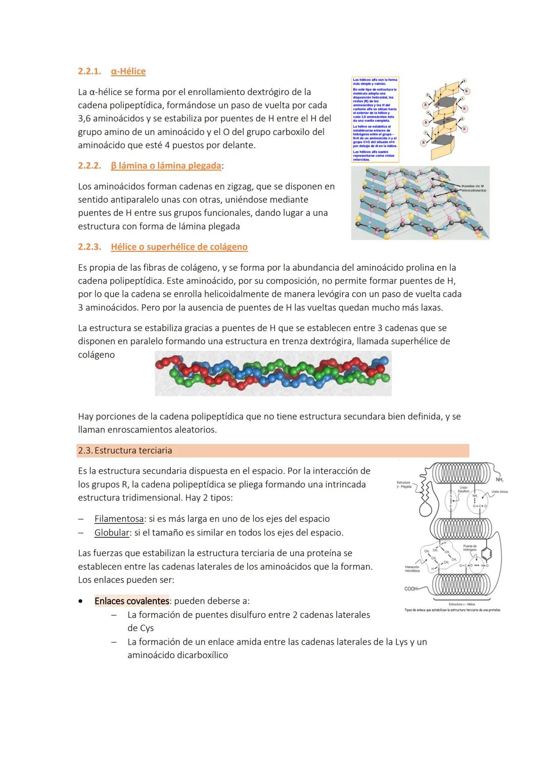 Tema 4a
LAS PROTEÍNAS
1. CONCEPTO DE PROTEÍNA Y SUS COMPONENTES (AMINOÁCIDOS)
Son biomoléculas orgánicas de elevado peso molecular y estruct