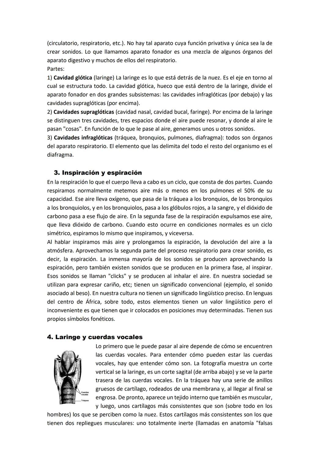 Libros importantes
-Alarcos Llorach, Emilio: Fonología española. Madrid, Gredos, 1986
- Navarro Tomás, Tomás: Manual de pronunciación españo