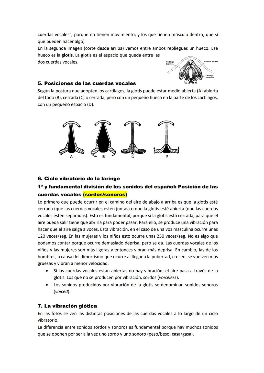 Libros importantes
-Alarcos Llorach, Emilio: Fonología española. Madrid, Gredos, 1986
- Navarro Tomás, Tomás: Manual de pronunciación españo