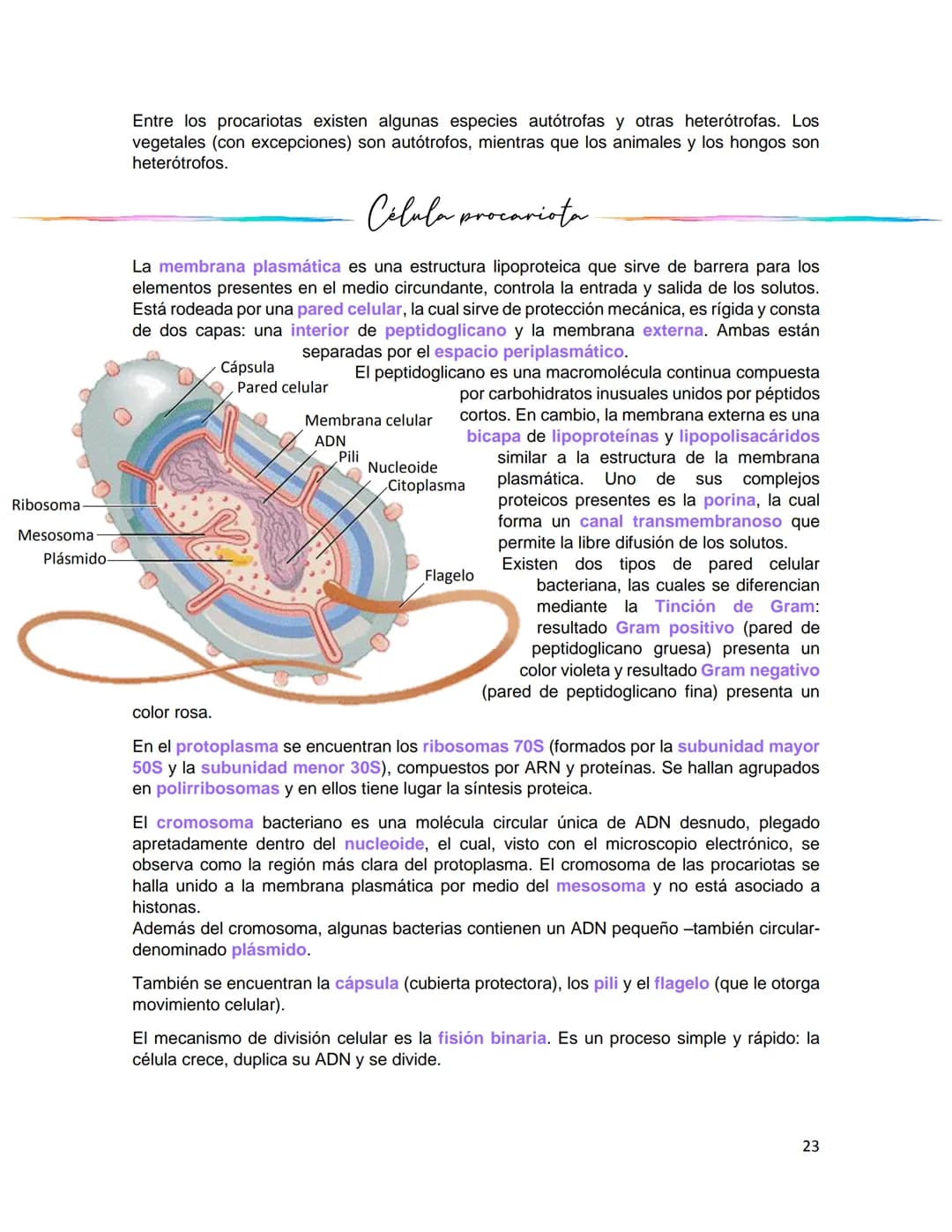 Caracteristicas generales
de
célula
La célula es la unidad estructural y funcional fundamental de los seres vivos, así como el
átomo es la u
