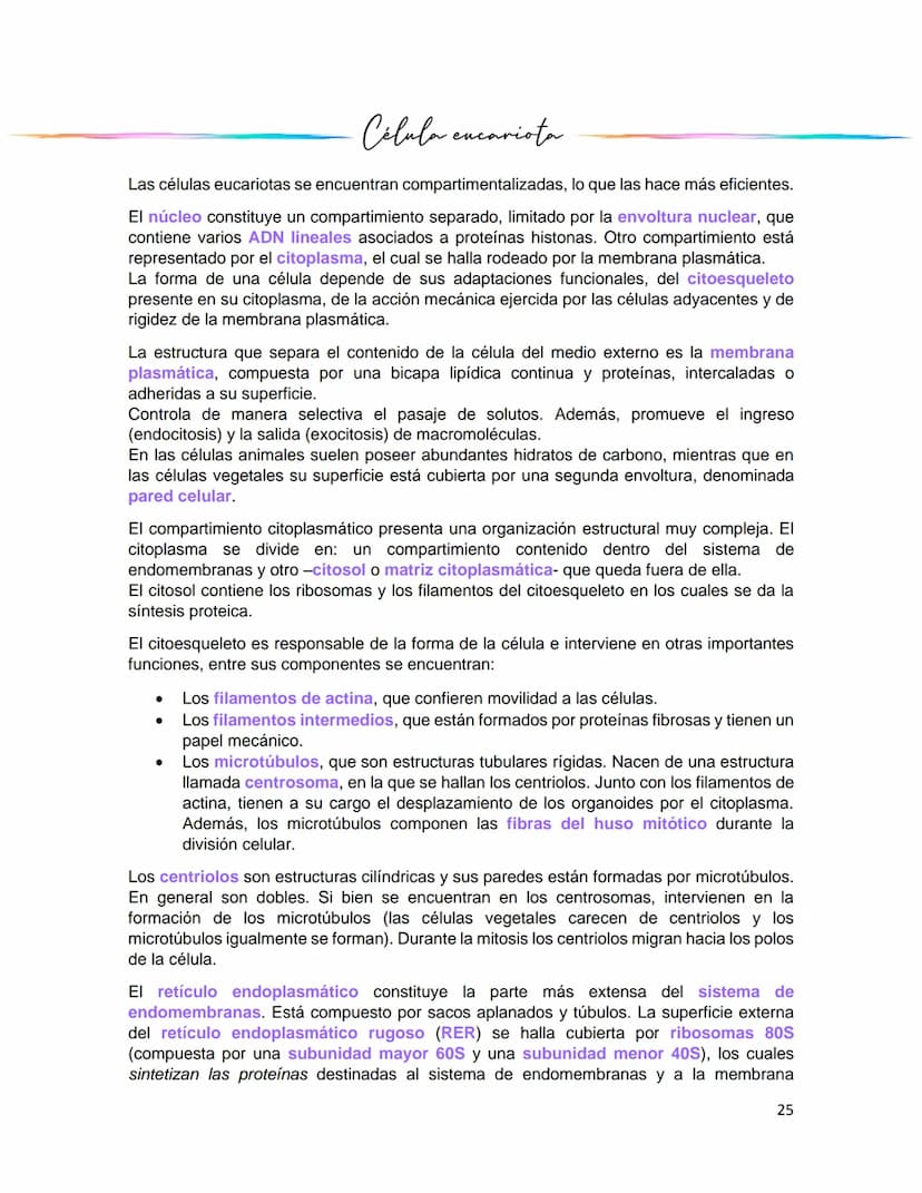Caracteristicas generales
de
célula
La célula es la unidad estructural y funcional fundamental de los seres vivos, así como el
átomo es la u