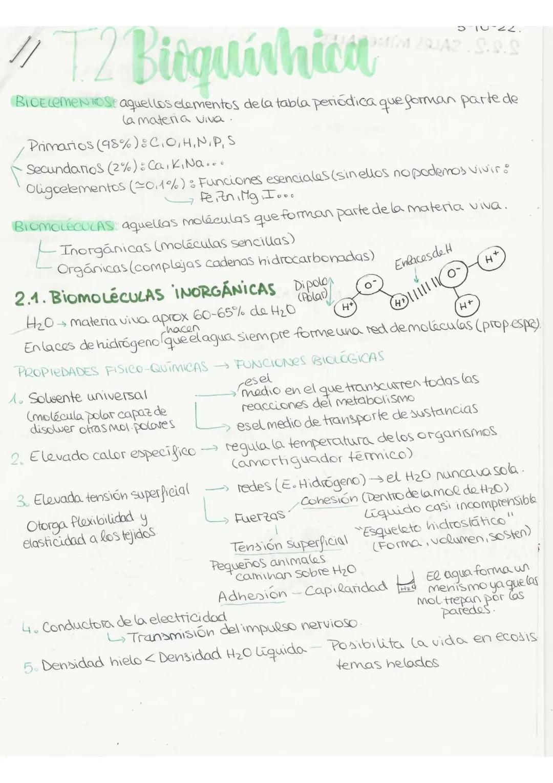 tema 2 - bioquímica 