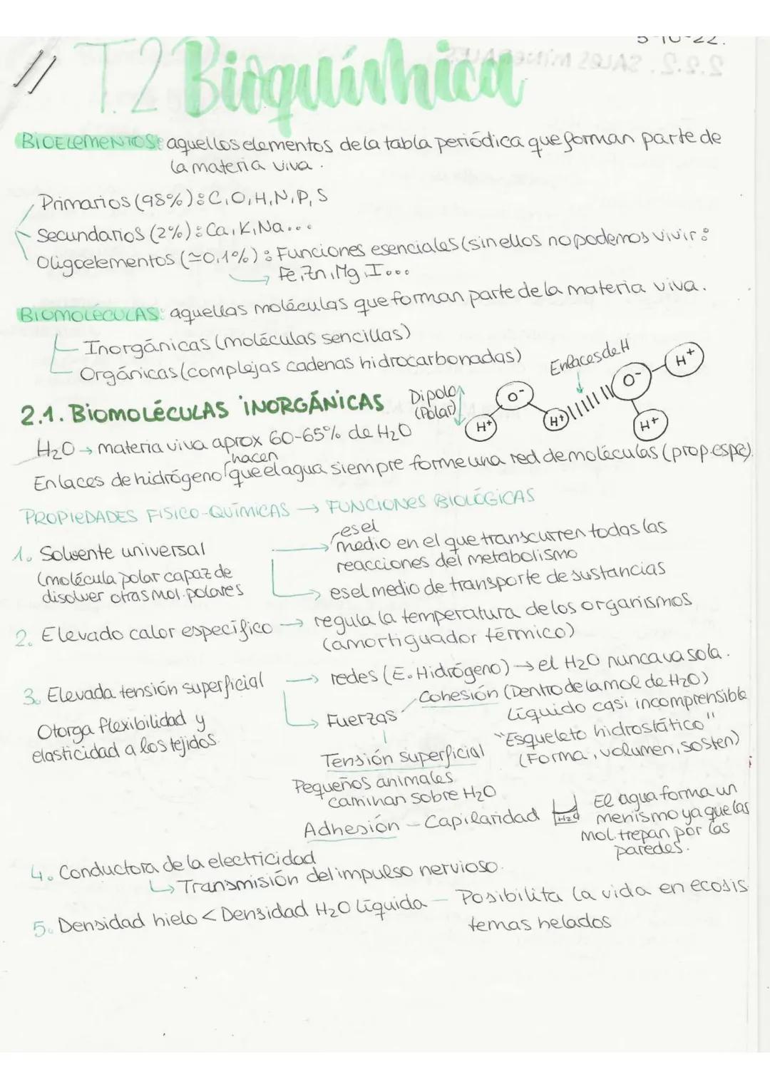 //T.2 Biequívhica
BIOELEMENTOSe aquellos elementos de la tabla periódica que forman parte de
la materia viva.
Primarios (98%): C. O, H, N, P