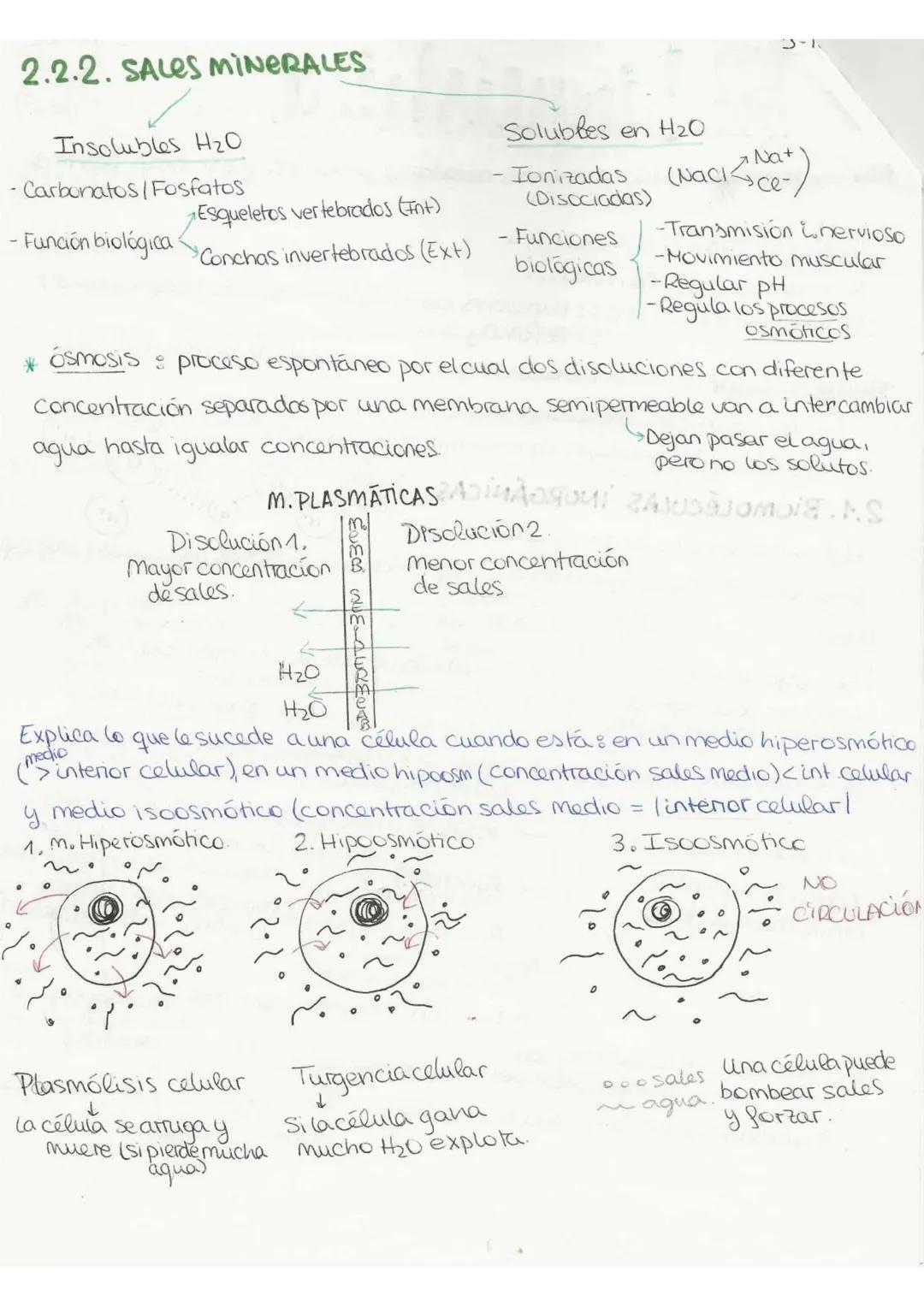 //T.2 Biequívhica
BIOELEMENTOSe aquellos elementos de la tabla periódica que forman parte de
la materia viva.
Primarios (98%): C. O, H, N, P
